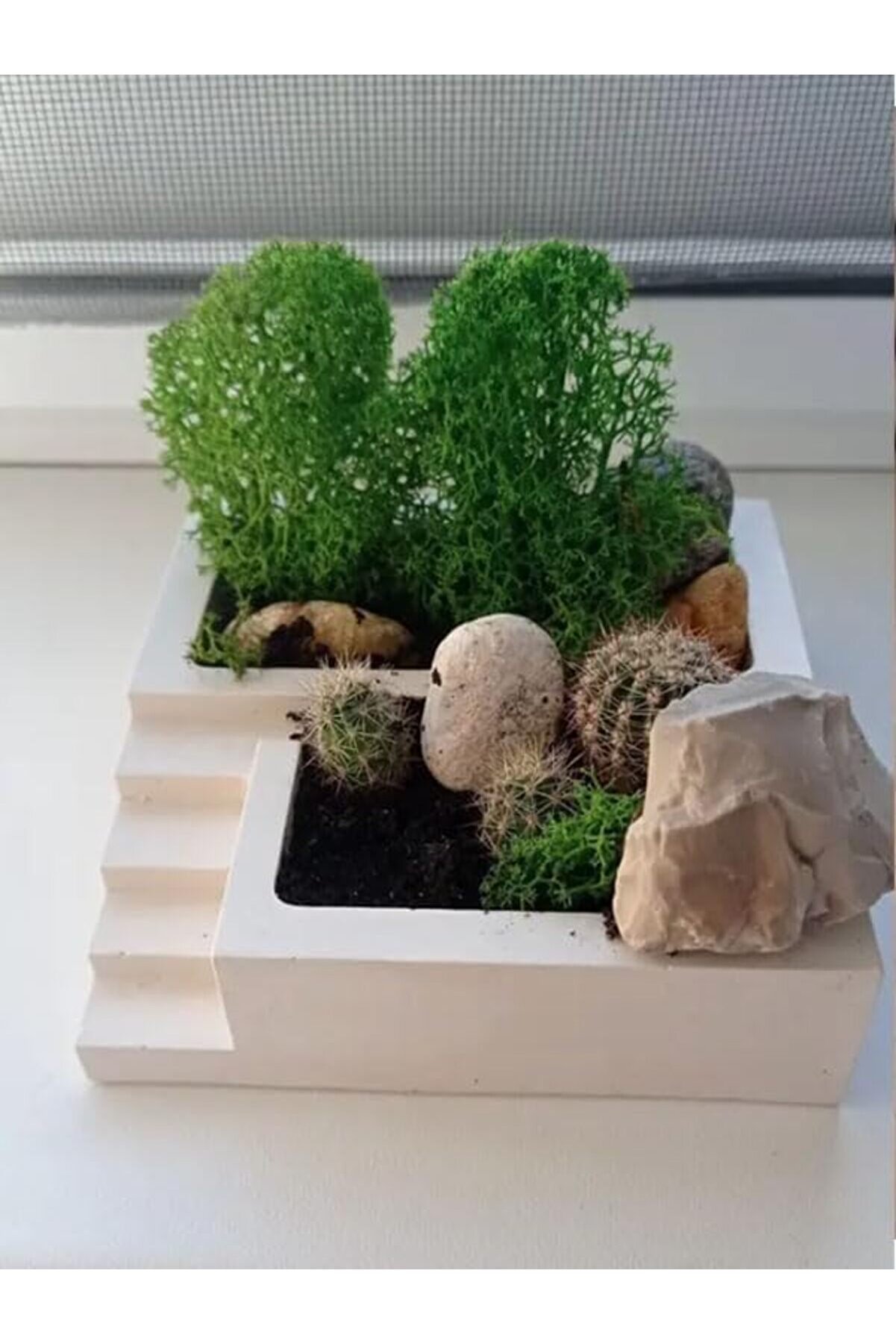 Modashi̇ne Bahçe Ve Ofi̇s Düzenleyi̇ci̇ - Sukulent Saksısı & Ataç Tutucu Modascope 1014773