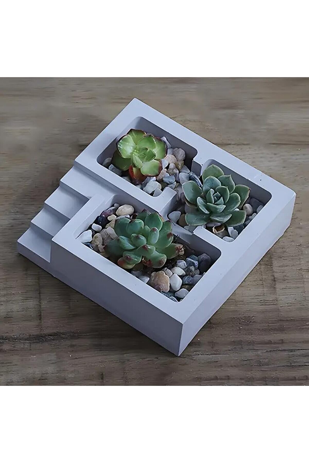STOREMAX modashine Bahçe ve Ofis Düzenleyici - Sukulent Saksısı & Ataç Tutucu modascope 1014773