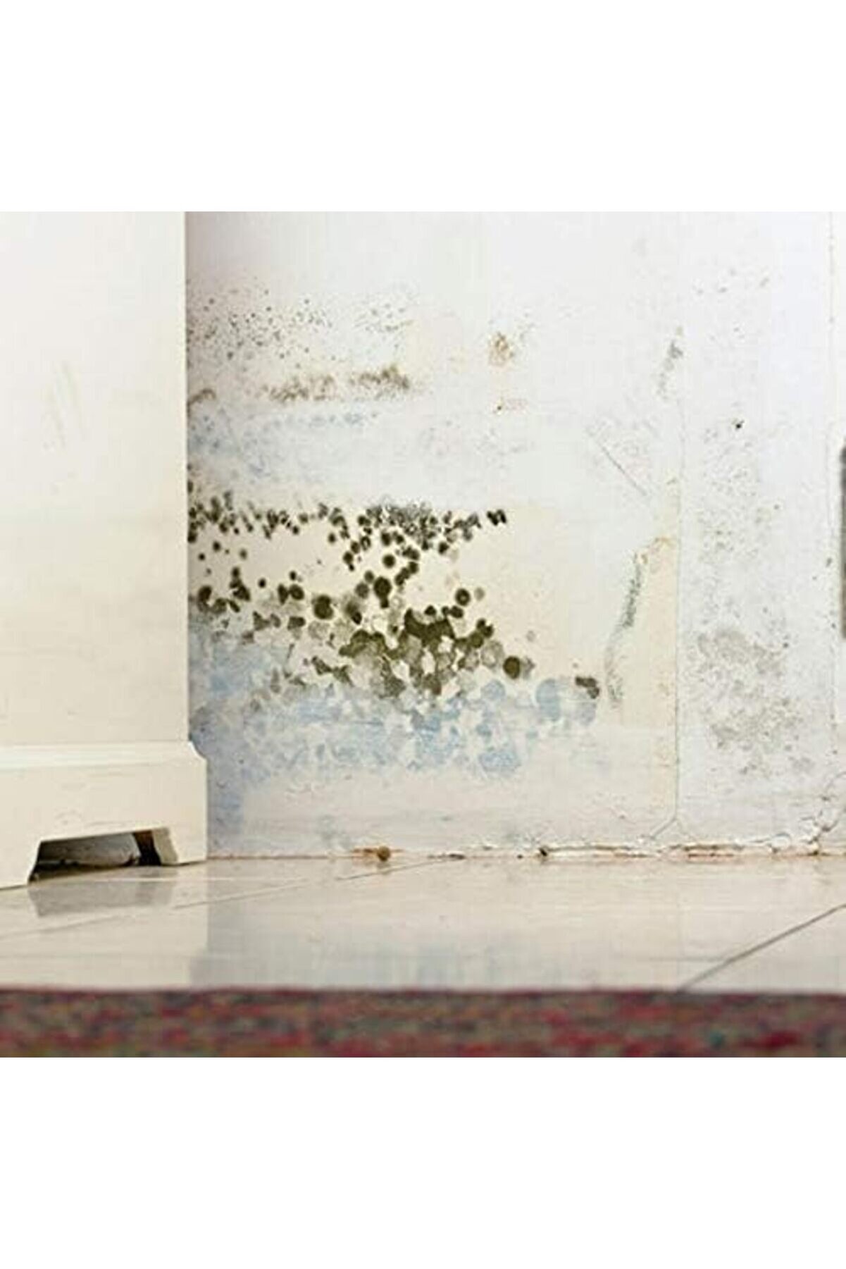 Modashi̇ne Flora Nem Alıcı 200 G 3 Lü Paket Modascope 1014773