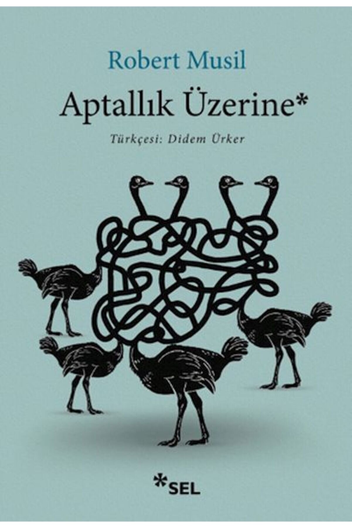 İthaki̇ Yayınları Aptallık &Uuml;zeri̇ne