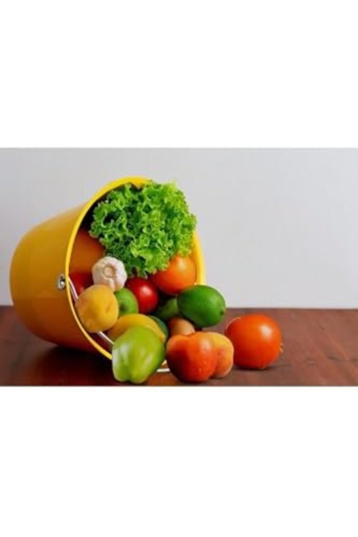 Saplı Kova-Sarı M-Avr01-12 1014773