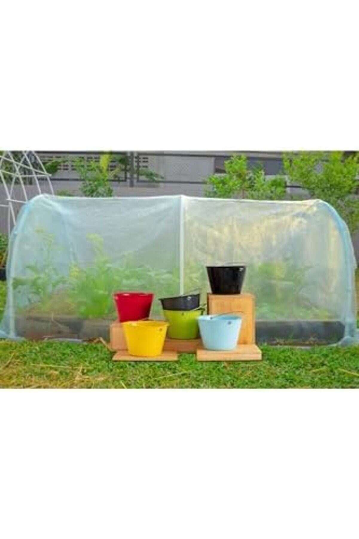 Saplı Kova-Sarı M-Avr01-12 1014773