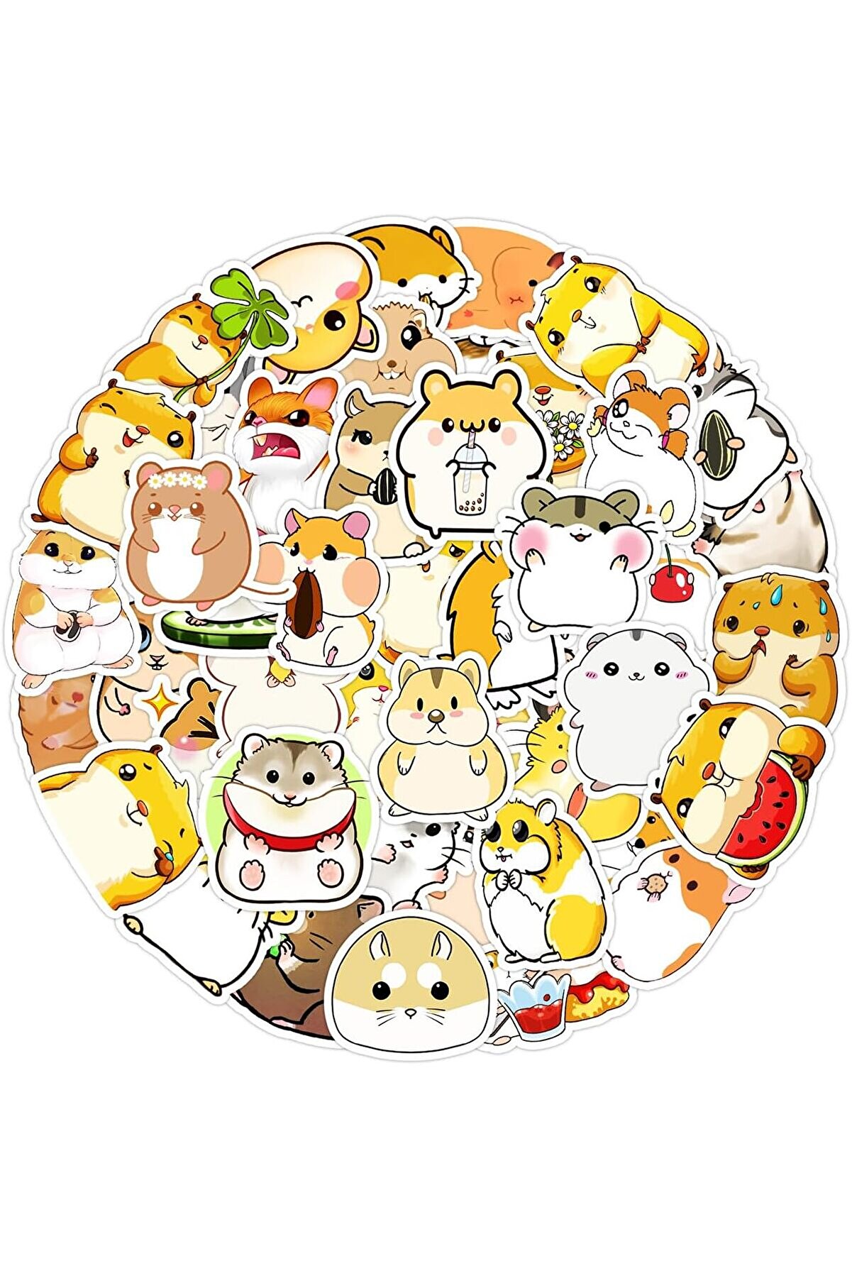 STOREMAX modashine Su Geçirmez Opak Seri: 16 modascope 1014773