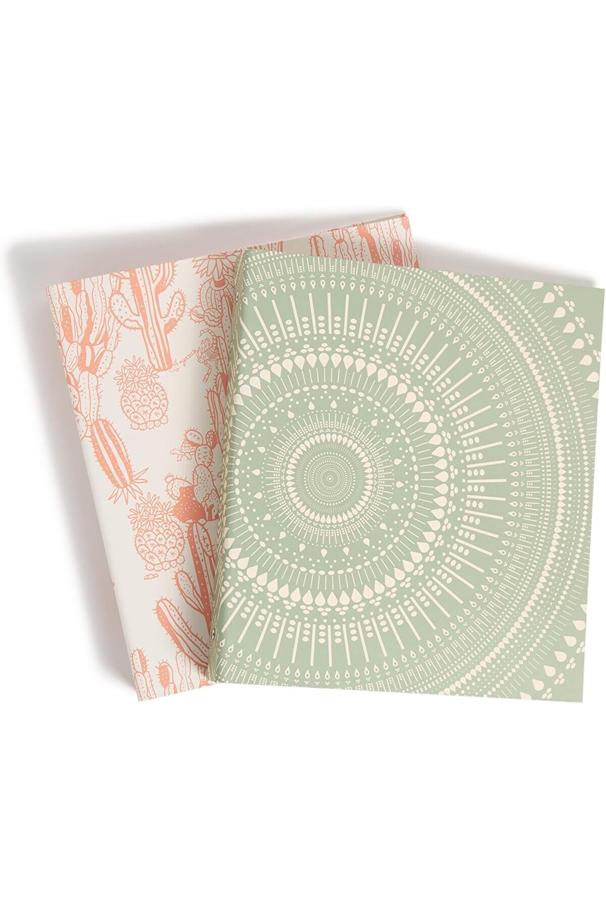 STOREMAX modashine Brands Çevre Dostu Cilt Seti, Zeytin ve Somon, 2,5 cm Halka, 2 Parça modascope 1014773