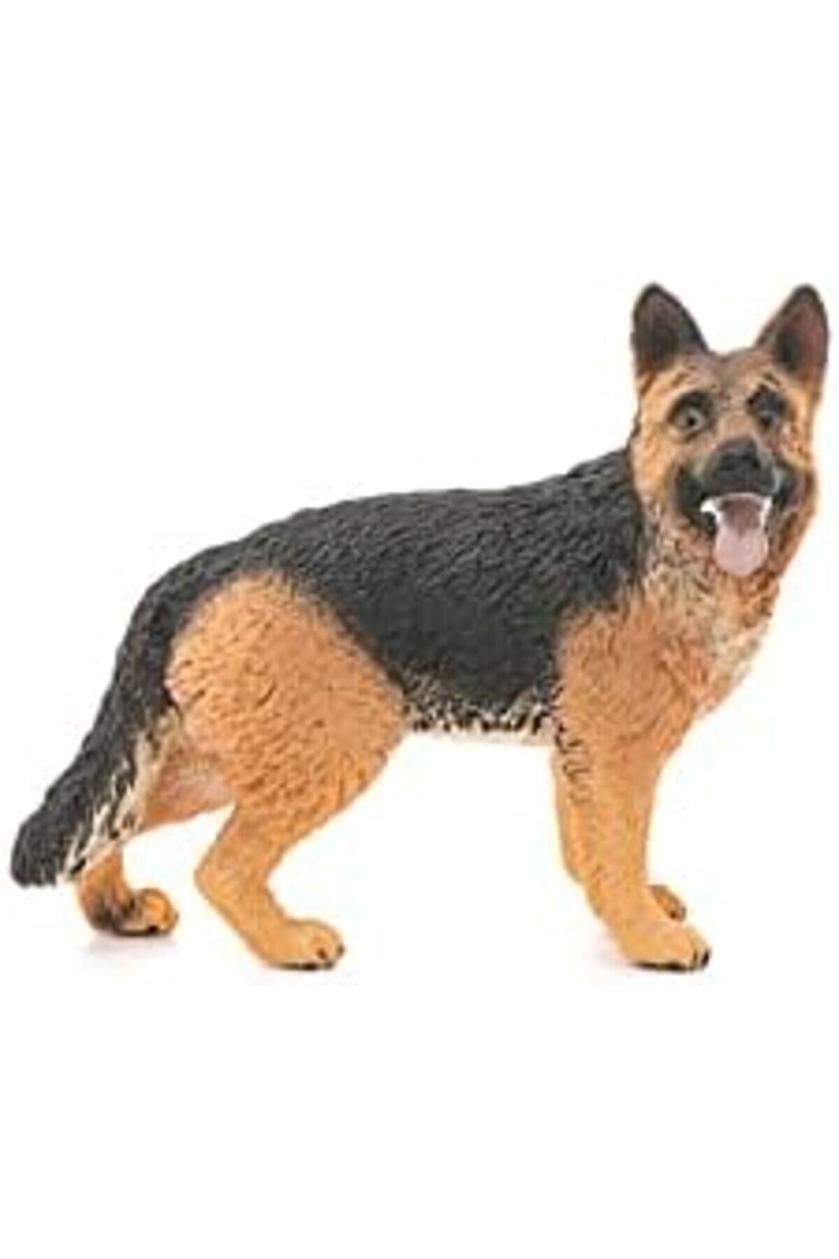 Mrtshoppng World-Alman Kurdu Mrtshoppng 542093