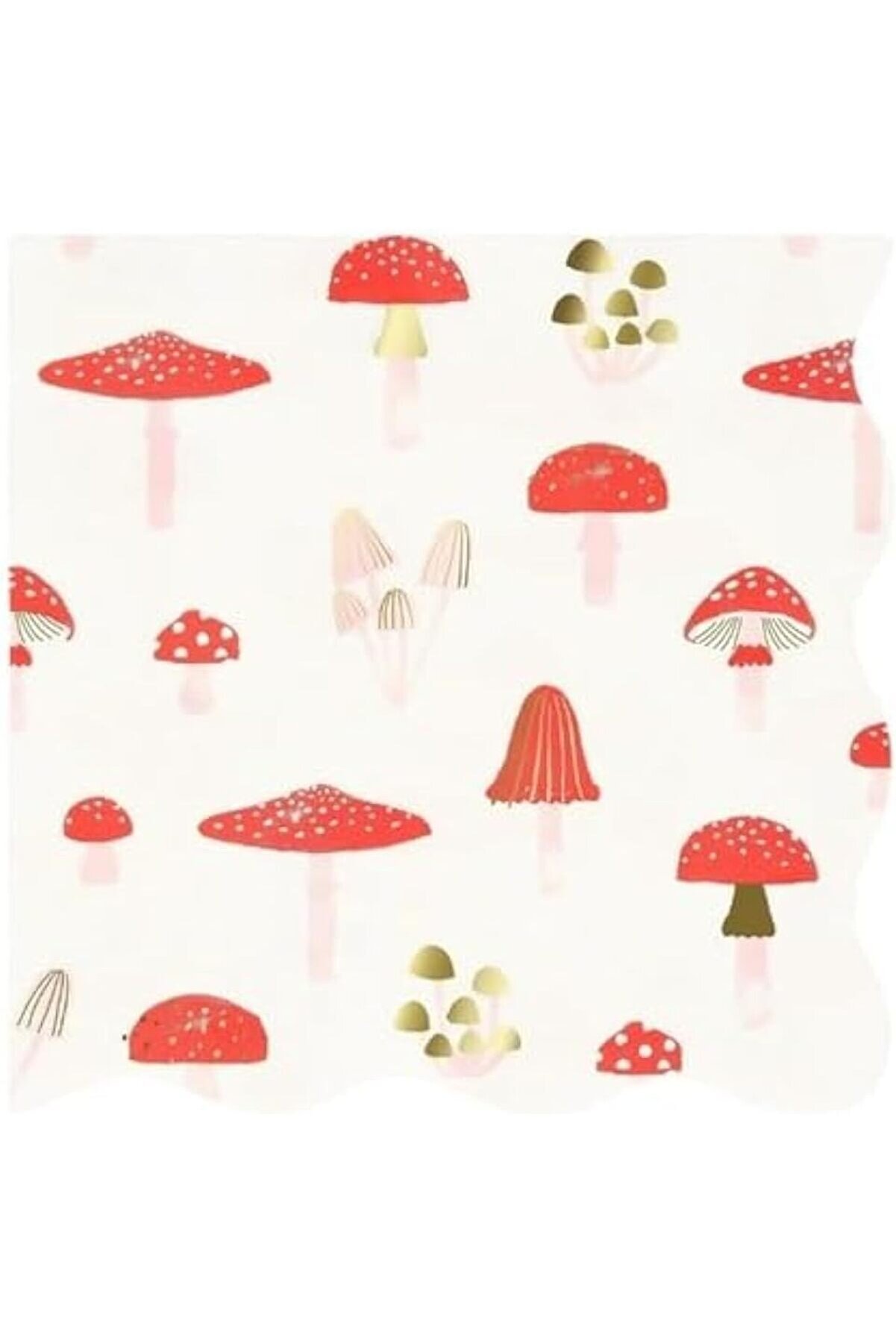 STOREMAX modashine - Mantar Peçete - L - 16 Adet modascope 1014773