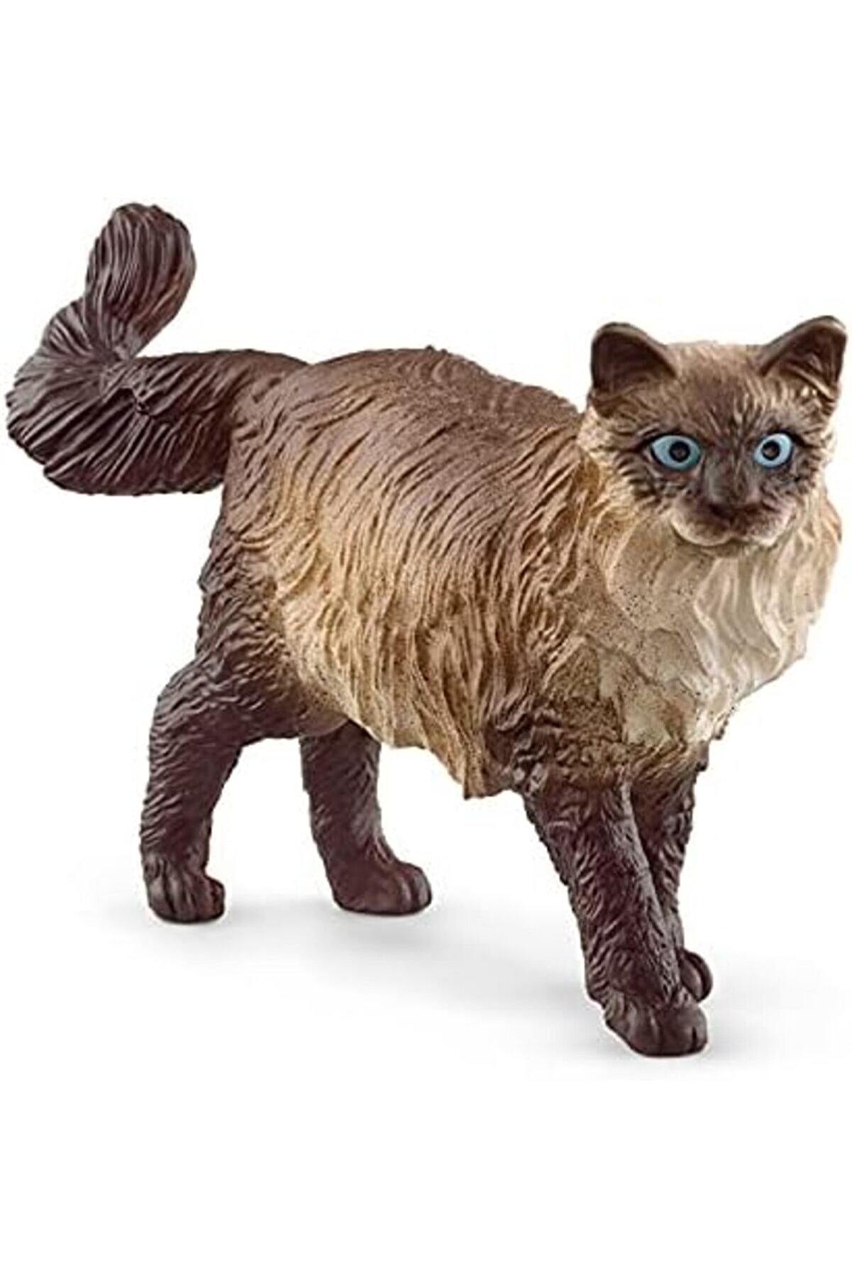 Ragdoll Kedi̇ Modascope 1014773