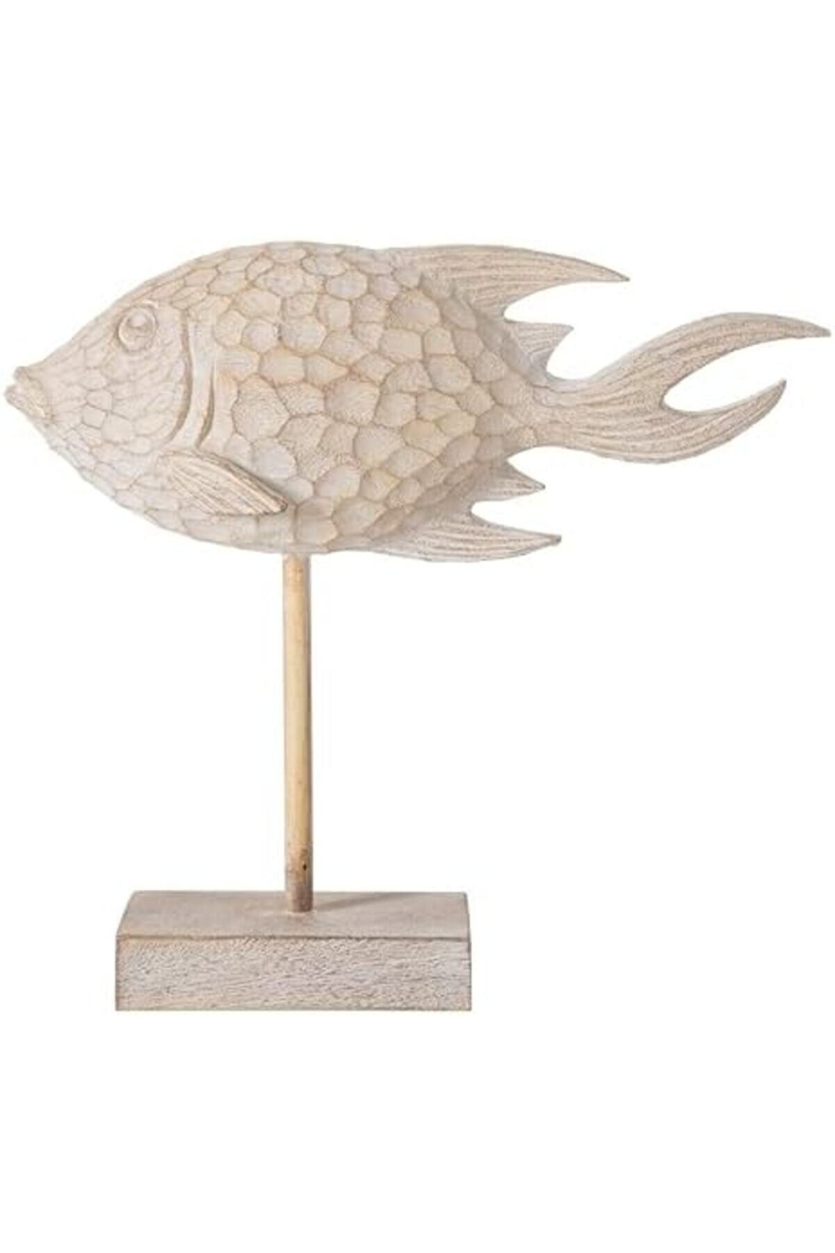 Concept Bi̇blo 30X26 Cm 1014773