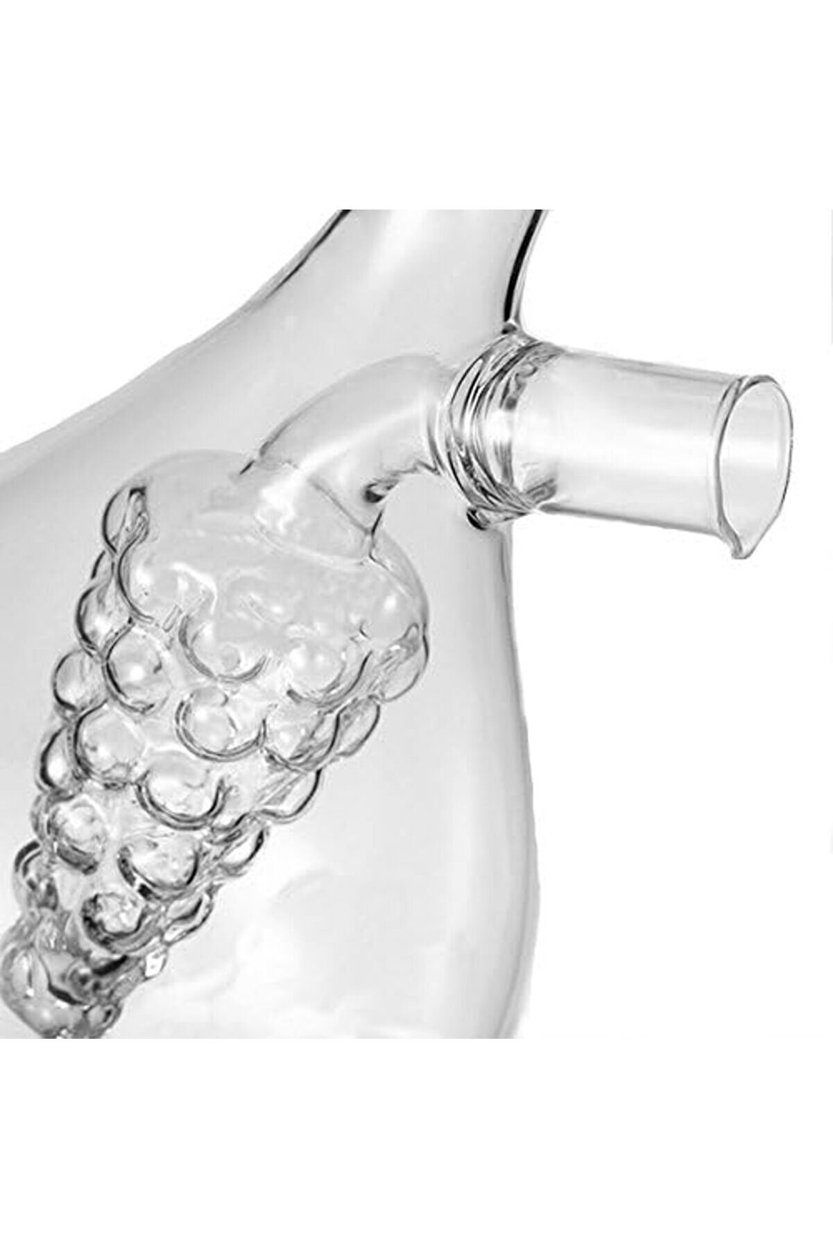 Modashi̇ne Mutfak Kutusu Si̇rke Ve Yağ Şi̇şesi̇, Bi̇berli̇k Grape Cluster Modascope 1014773