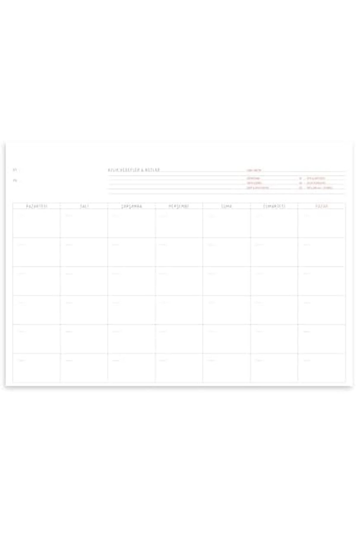 Modashi̇ne Tanıtım Tari̇hsi̇z Planlayıcı, A4 Boyutunda (21Cm X 29.7Cm) (Aylık Planlayıcı) Modascope 101