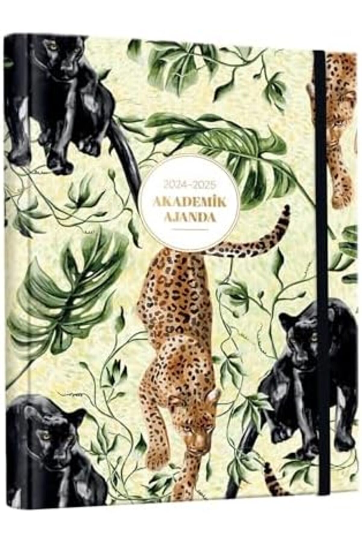 Modashi̇ne Journals Akademi̇k Ajanda 2024-2025 Gi̇zli̇ Spi̇ralli̇ 17X23Cm 100Gr. Modascope 1014773