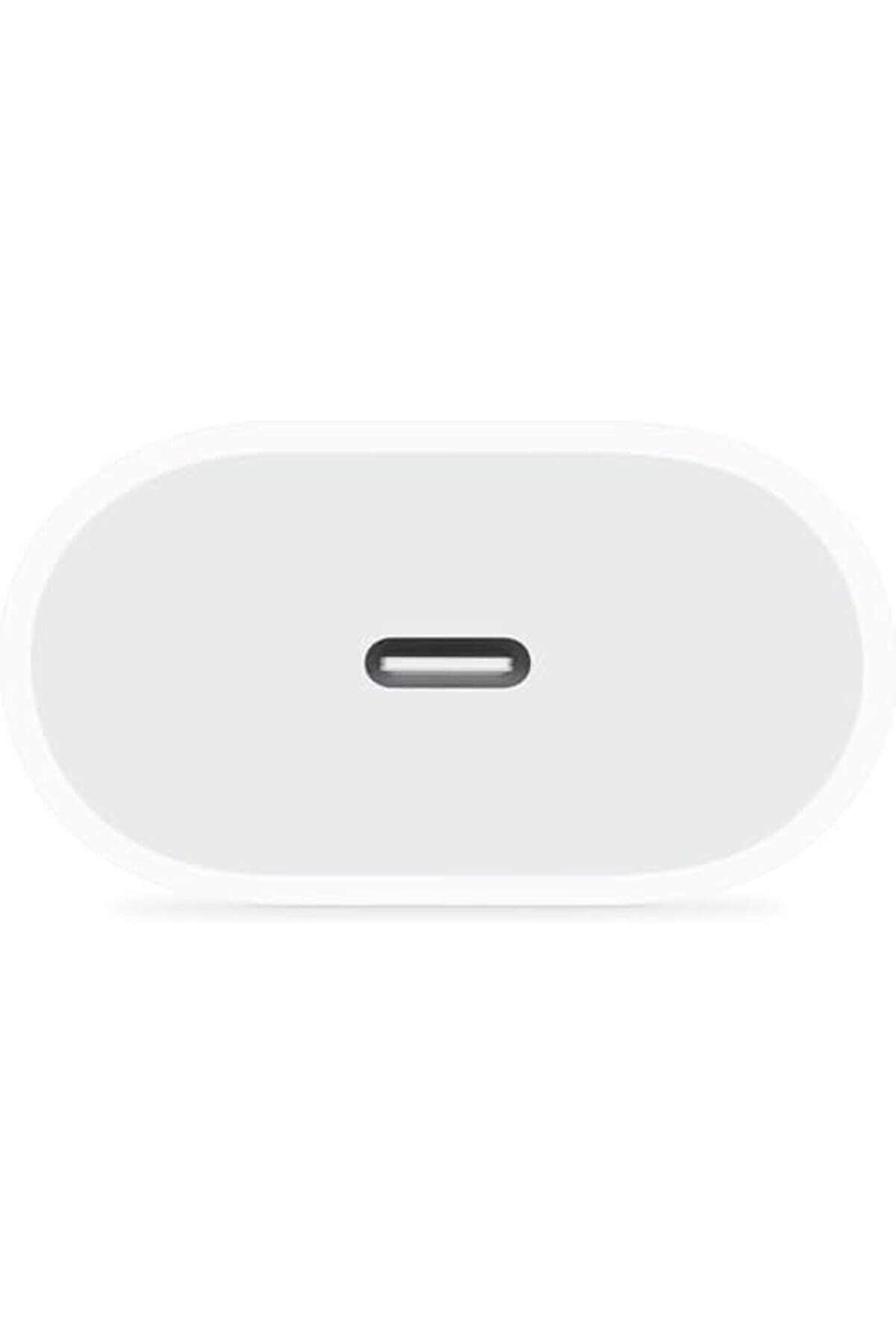 20W Usb-C Pd 14/13/12/12 Pro Max/11/Xs Max/G&uuml;&ccedil; Ve Kablo Dahi̇l Set Type-C Hızlı Şarj Ci̇hazı & İpad 1