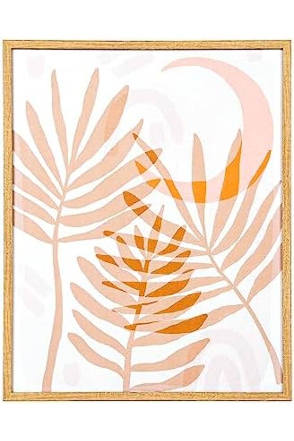 Ahşap Çerçeveli̇ Areka Yaprağı Mdf Üzeri̇ Baskı Tablo Somon-Beyaz 40X1,8X50 Cm. 1014773