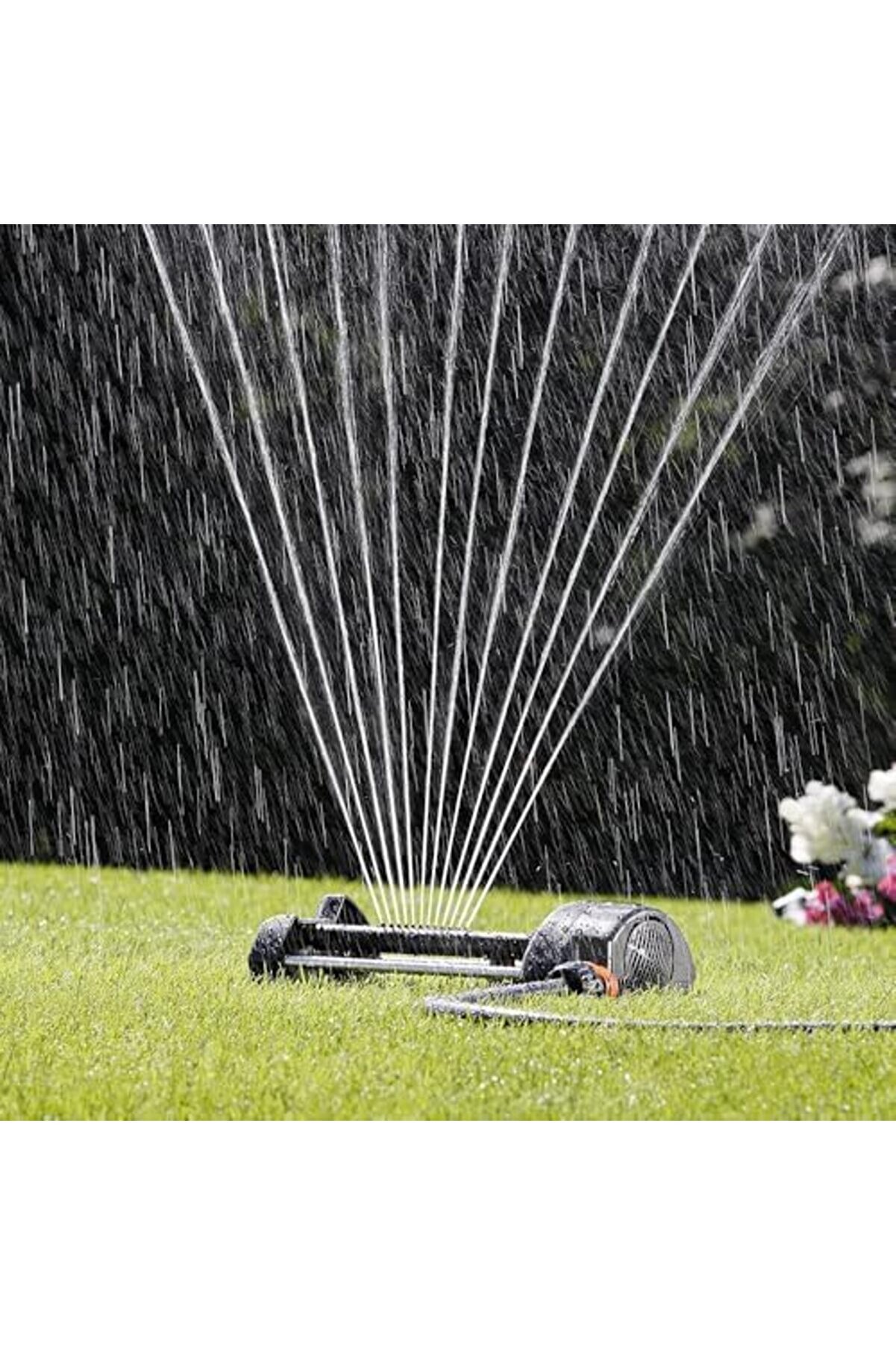 8748 Sprınk Osi̇latör Compact-12 Deli̇kli̇ Salınımlı Fıski̇ye 1014773