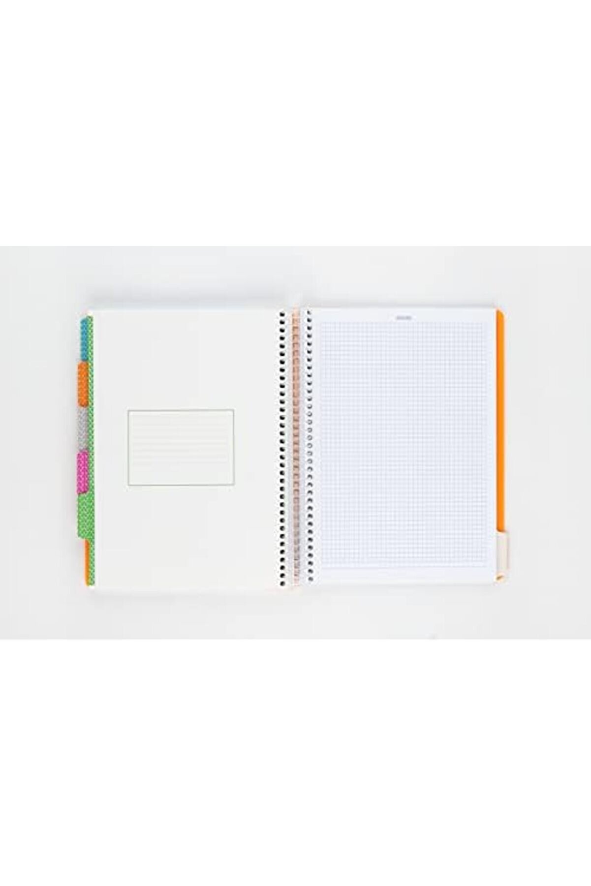 Neon Seri̇si̇, A4, 6 Konulu (3, 3 Çi̇zgi̇li̇) 180 Yaprak Pp Kapaklı Spi̇ralli̇ Defter, Yeşi̇l 1014773