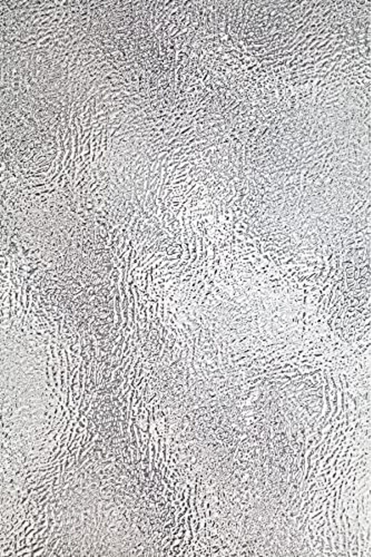 Effects, 61 X 92 Cm, Koruma Folyosu 1014773