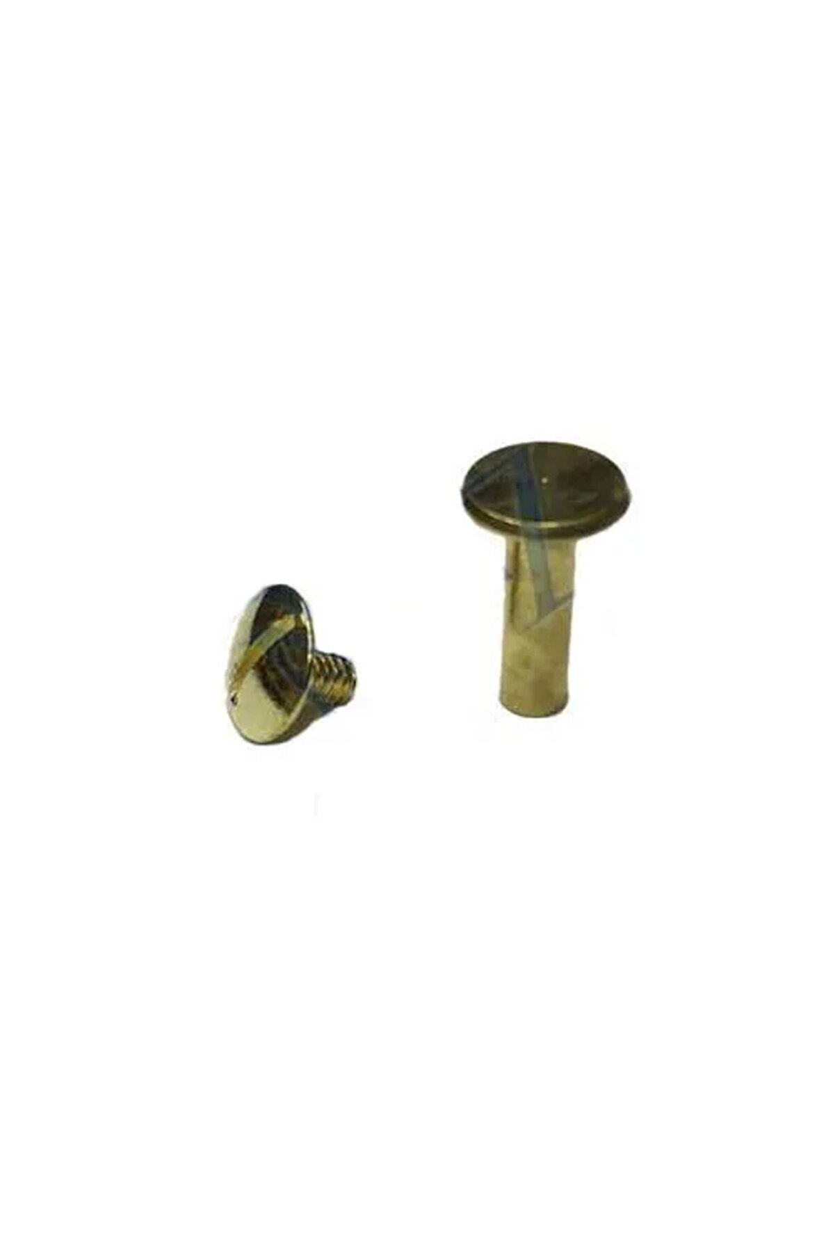 Toptan Bulurum Cilt Menü, Katg, Kartela Vidası, 20 mm Sarı, 100 Adet