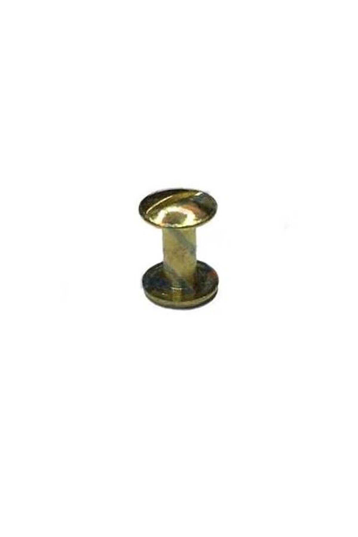 Toptan Bulurum Cilt Menü, Katg, Kartela Vidası, 6 mm Nikel, 1 Adet