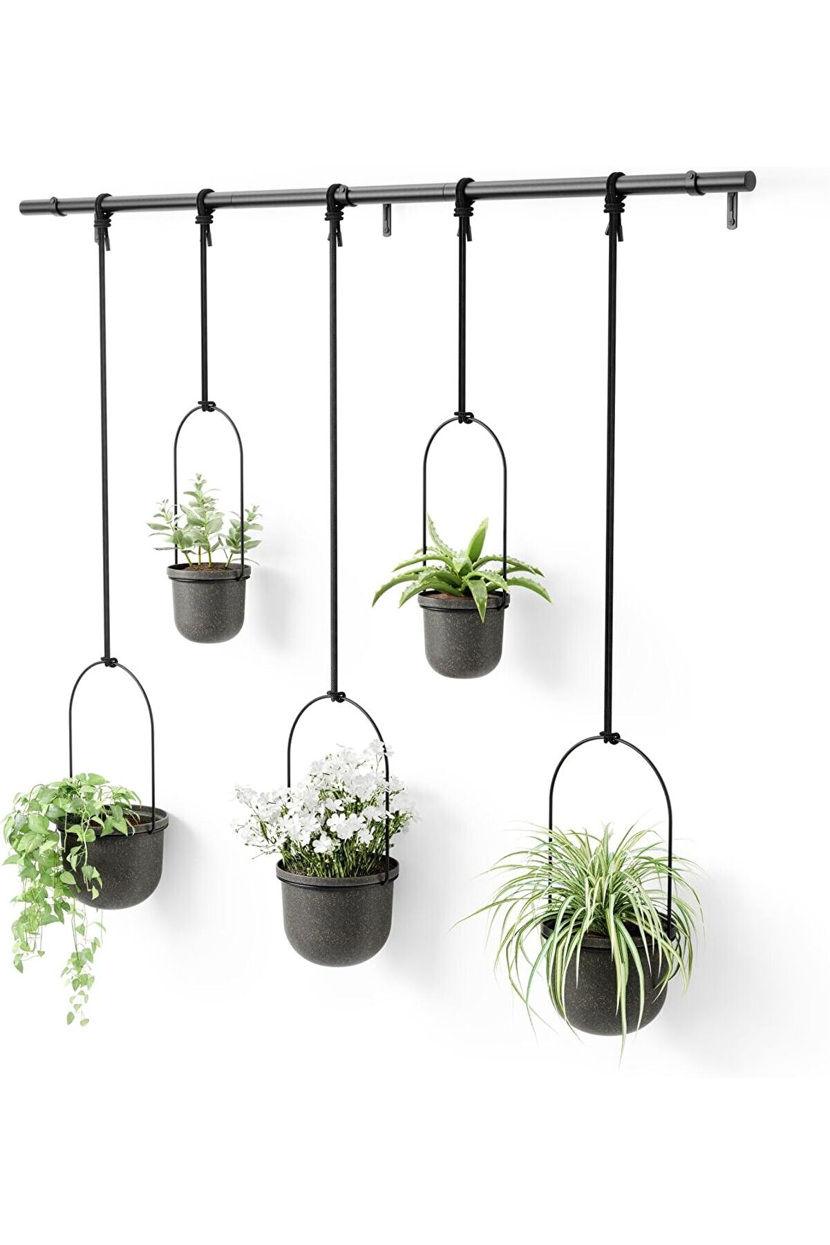 STOREMAX Triflora vazo, asma &ccedil;i&ccedil;ek saksısı, duvar vazosu, duvar ve tavan montajı i&ccedil;in &ccedil;i&ccedil;ek askısı, 5'li