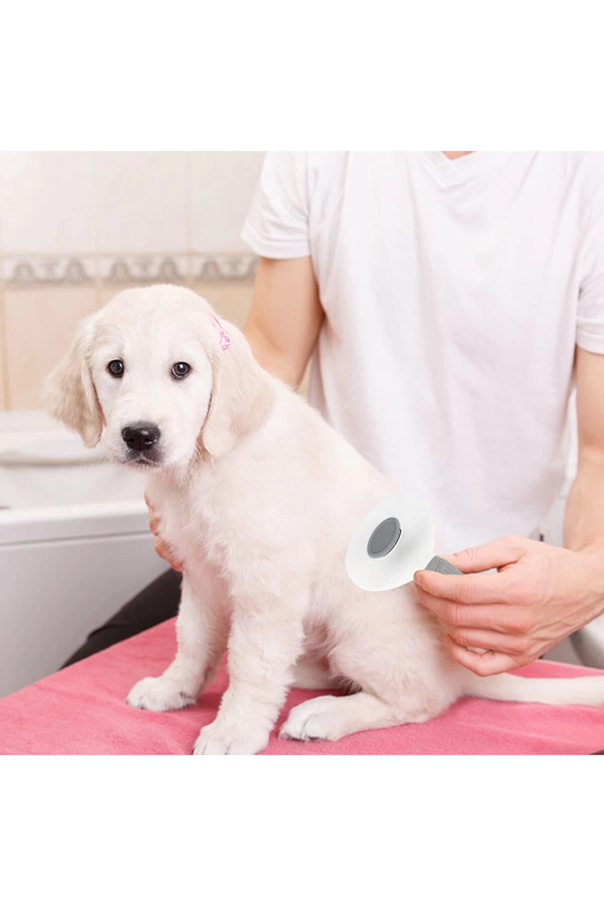 Kedi̇ Köpek Tüy Toplayıcı Pet Tarak 20 Cm