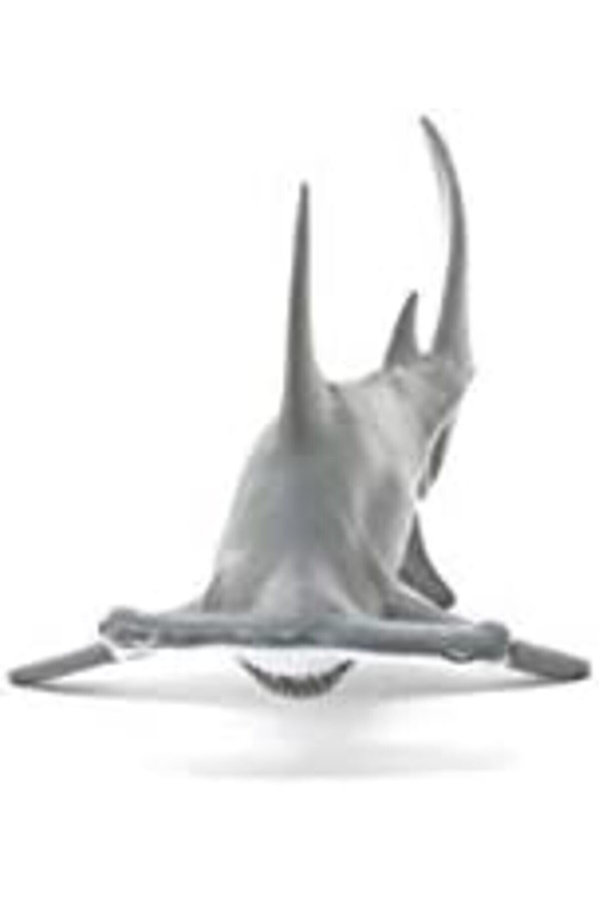 14835 Çeki̇çbaşlı Köpekbalığı