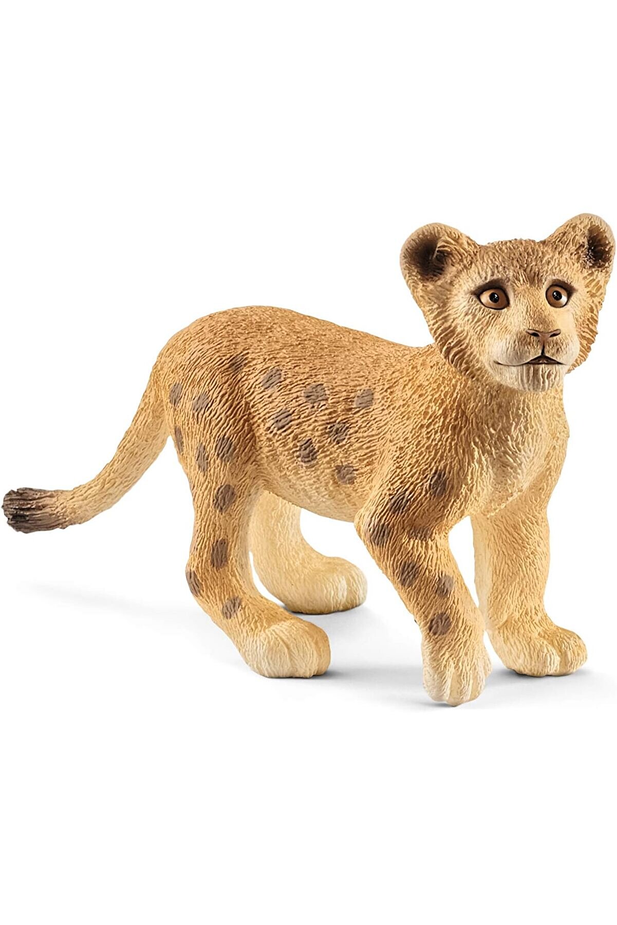 STOREMAX ynsShoping Life-Yavru Aslan NewTrrending 1178227