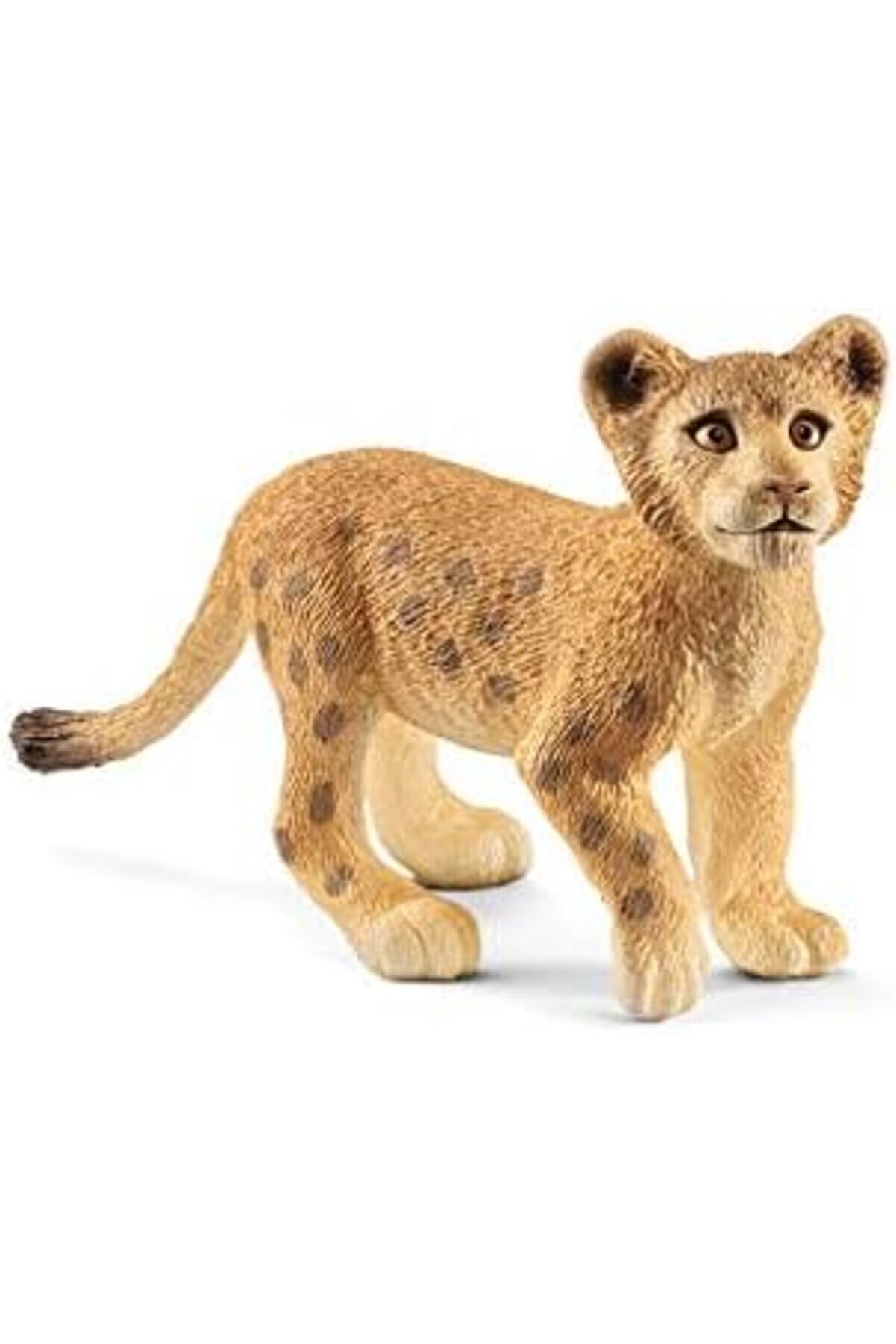 Ynsshopi̇ng Li̇fe-Yavru Aslan Newtrrendi̇ng 1178227