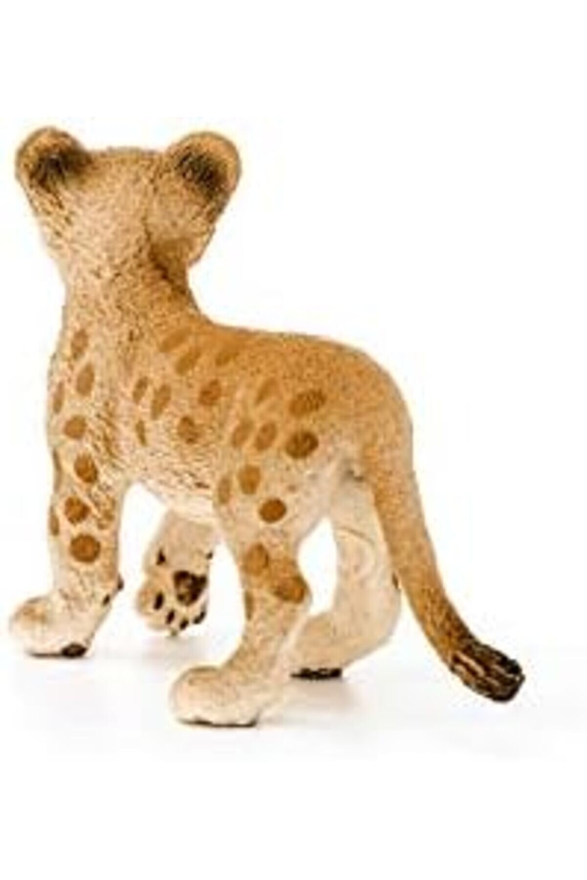 Ynsshopi̇ng Li̇fe-Yavru Aslan Newtrrendi̇ng 1178227