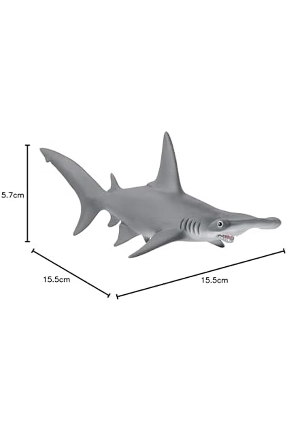 14835 Çeki̇çbaşlı Köpekbalığı