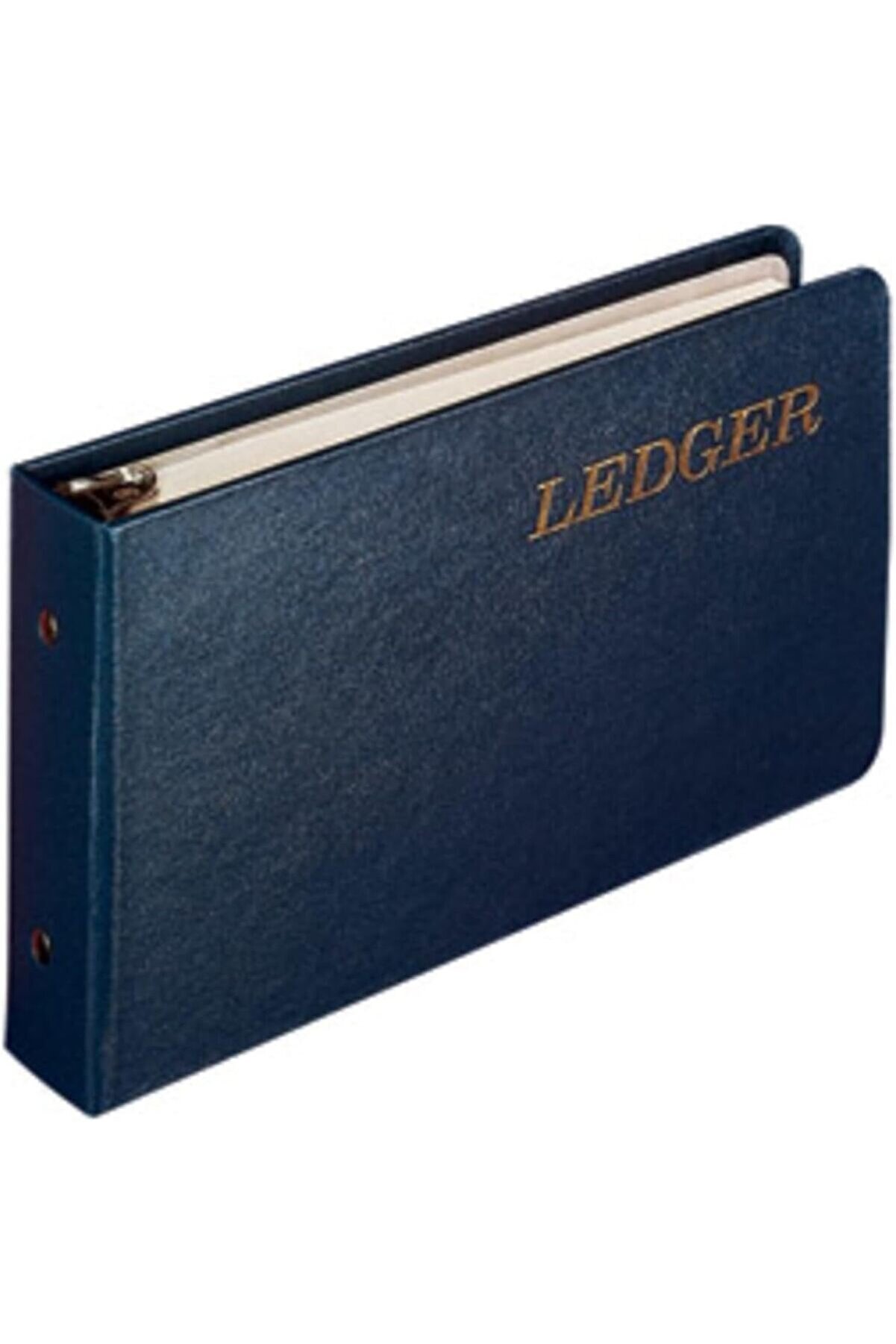 STOREMAX lvnshop Jones Ring Ledger Outfit, Buchhaltung Ring bağlayıcı, ledger yaprak, ve A-Z endeks (W0203 –