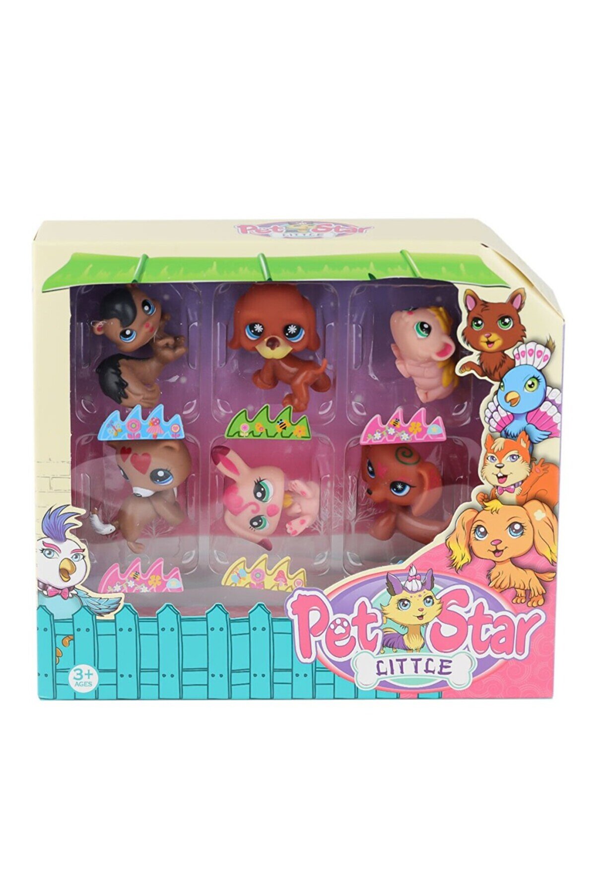 Toptan Bulurum KZL3046A2 Pet Star 6'lı Miniş Seti Kızılkaya Oyuncak