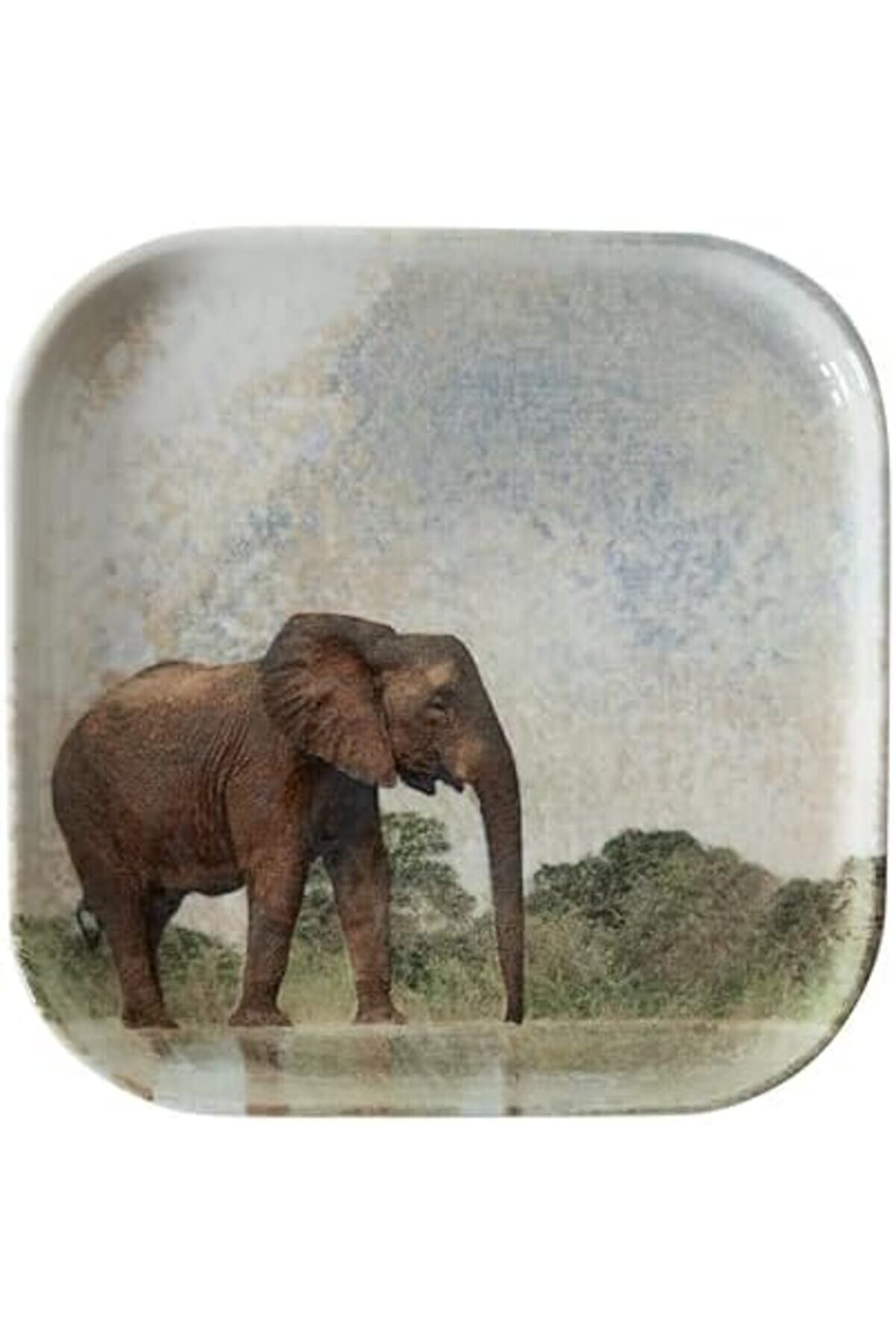 Shopverse Concept Kare Tabak 17Cm-Elephant Trendfli̇ck 1014773