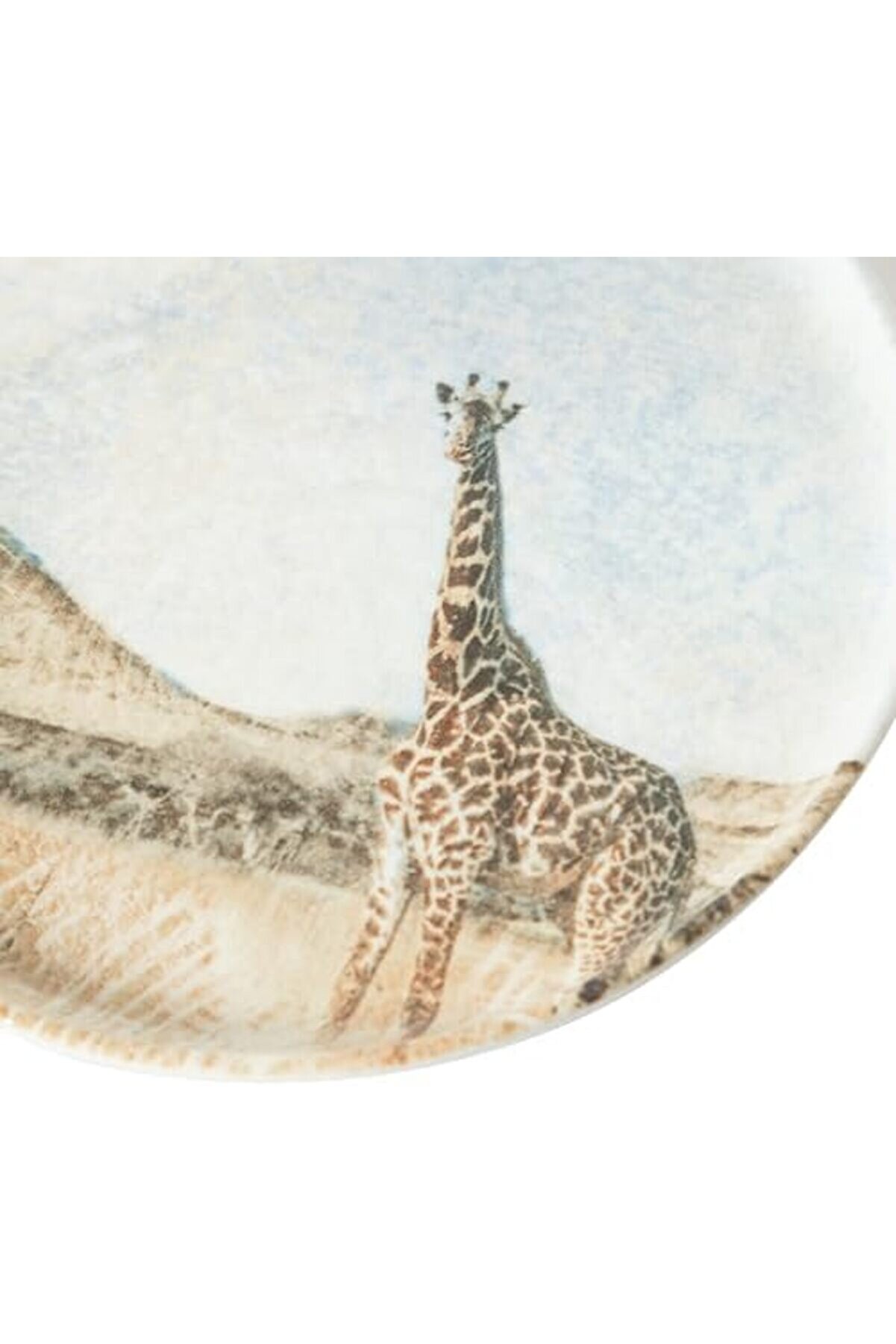 Shopverse Concept Pasta Tabağı 20Cm - Trendfli̇ck 1014773