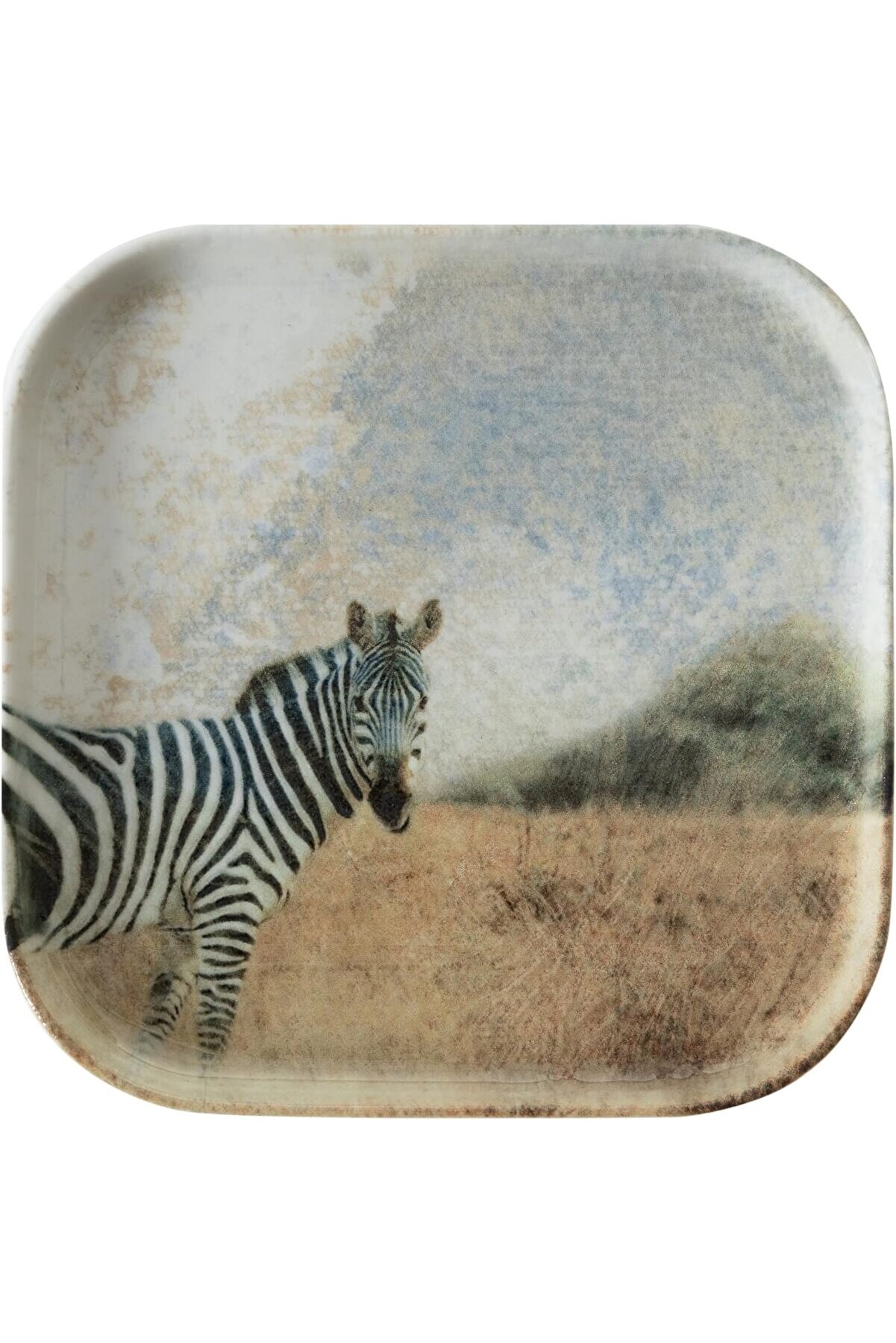 STOREMAX shopverse Concept Kare Tabak 17cm-Zebra trendflick 1014773