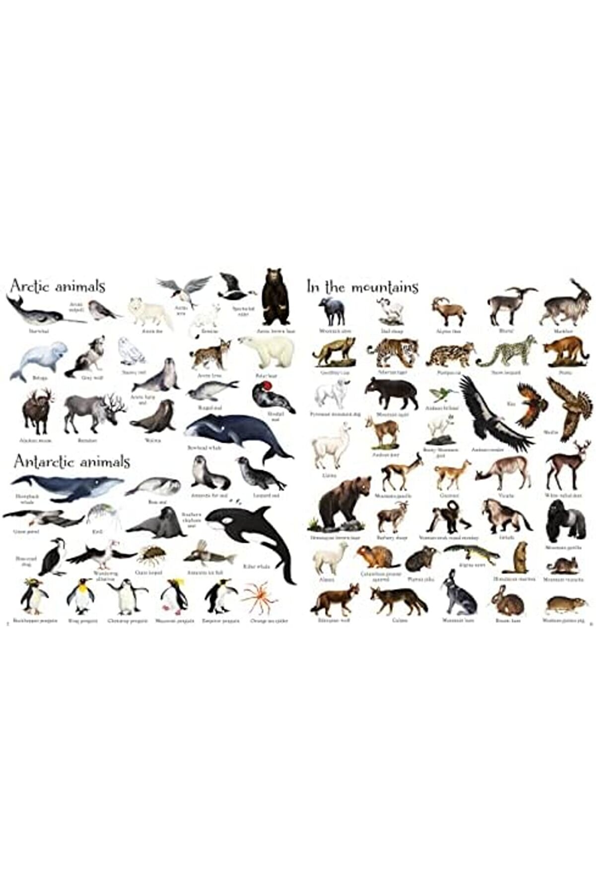 Shopverse (1000 Pi̇ctures) Trendfli̇ck 1014773