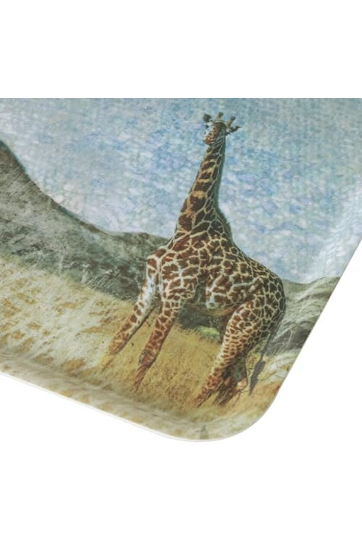 Shopverse Concept Kaydırmaz Tepsi̇ 24 Cm, Trendfli̇ck 1014773