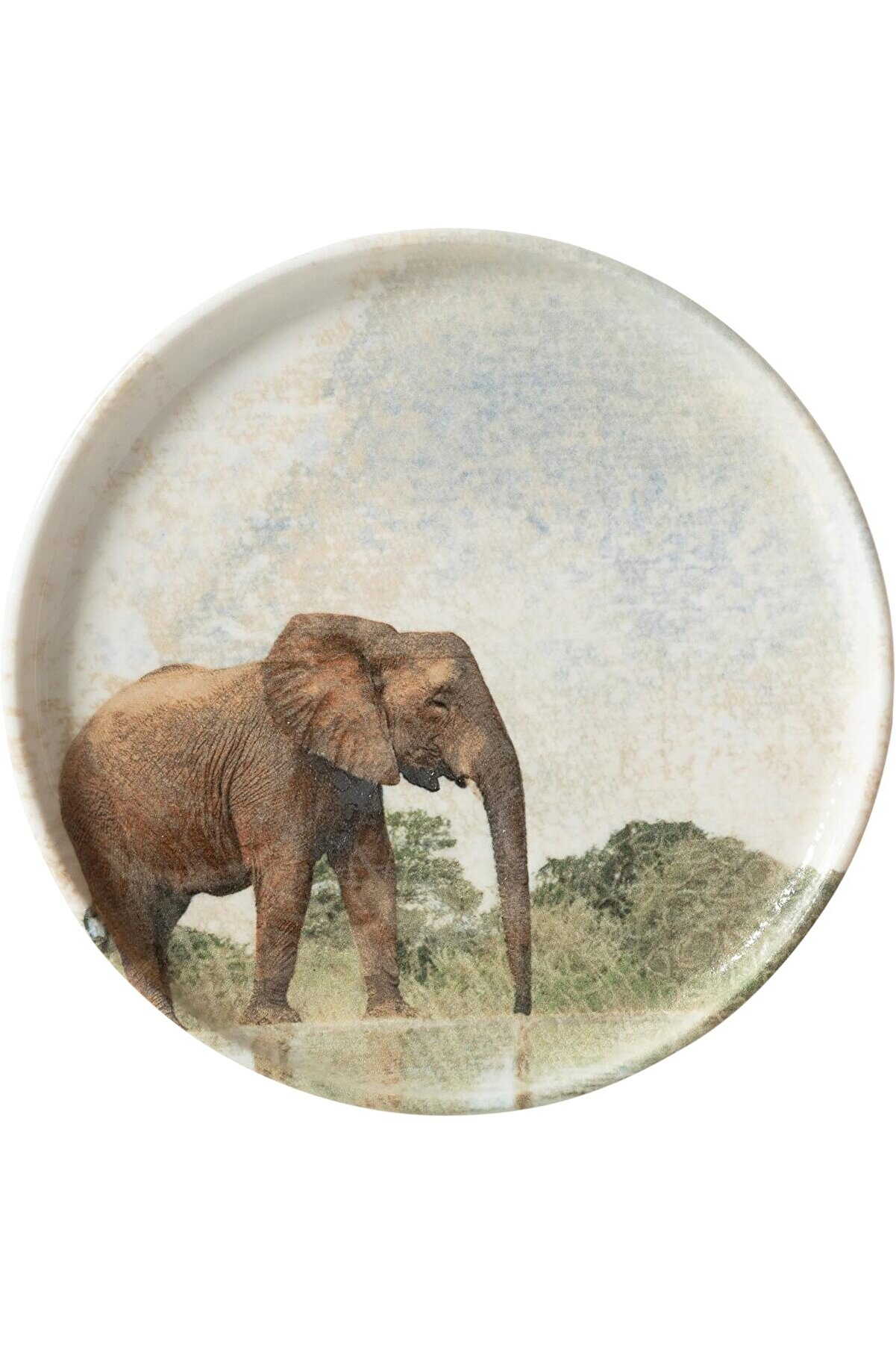 STOREMAX shopverse Concept Pasta Tabağı 20cm - Elephant trendflick 1014773