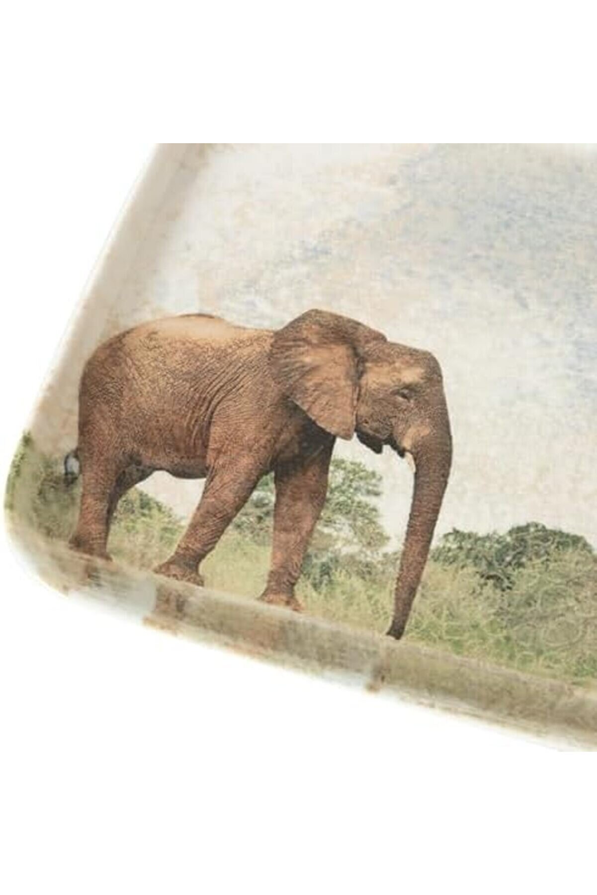 Shopverse Concept Kare Tabak 22Cm-Elephant Trendfli̇ck 1014773