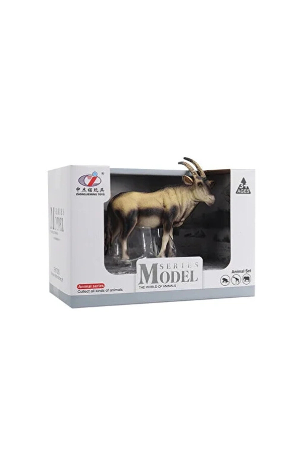 Kutulu Model Anti̇lop