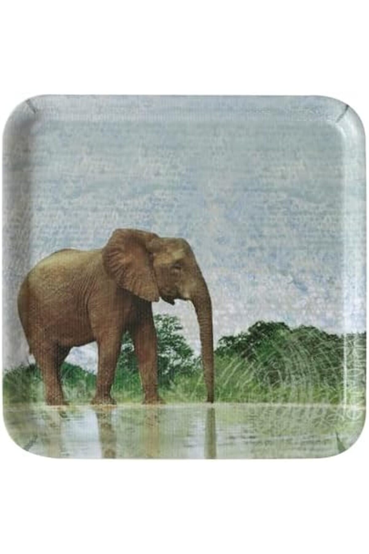 Shopverse Concept Kaydırmaz Tepsi̇ 24 Cm, Elephant Trendfli̇ck 1014773