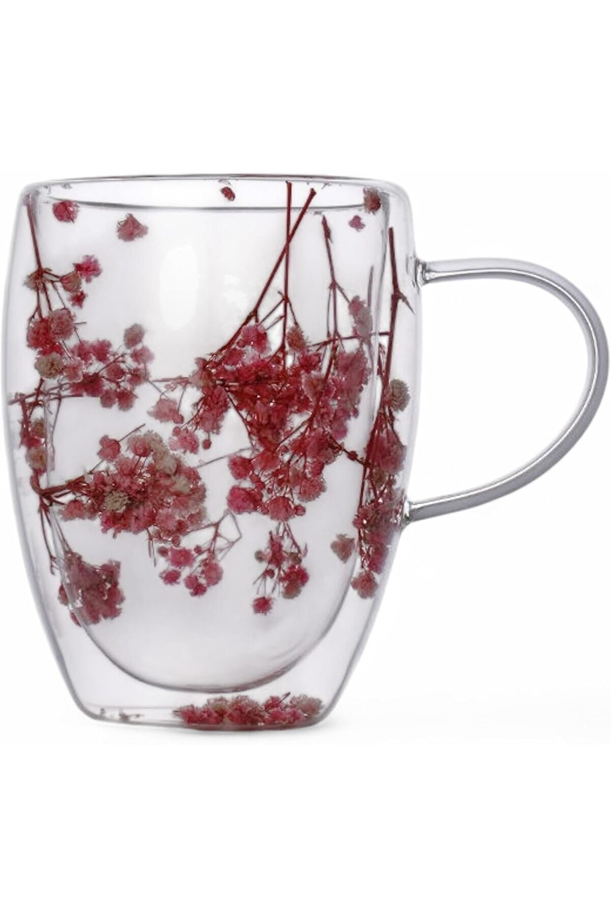 STOREMAX shopverse 350ml Çift Cidarlı Çiçekli Kupa – Dayanıklı Çift Katmanlı Cam Çay & Kahve Kupası | Şık ve
