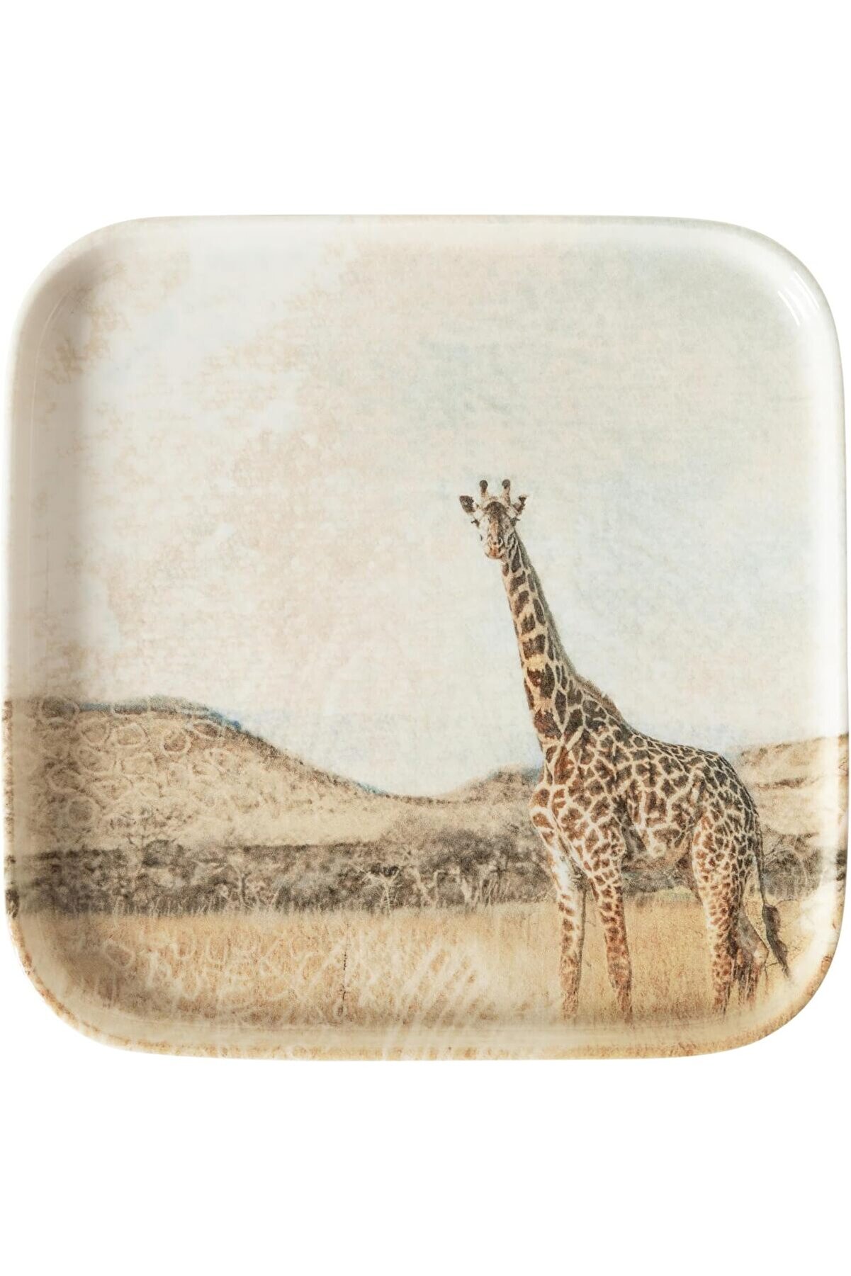 STOREMAX shopverse Concept Kare Tabak 22cm- trendflick 1014773