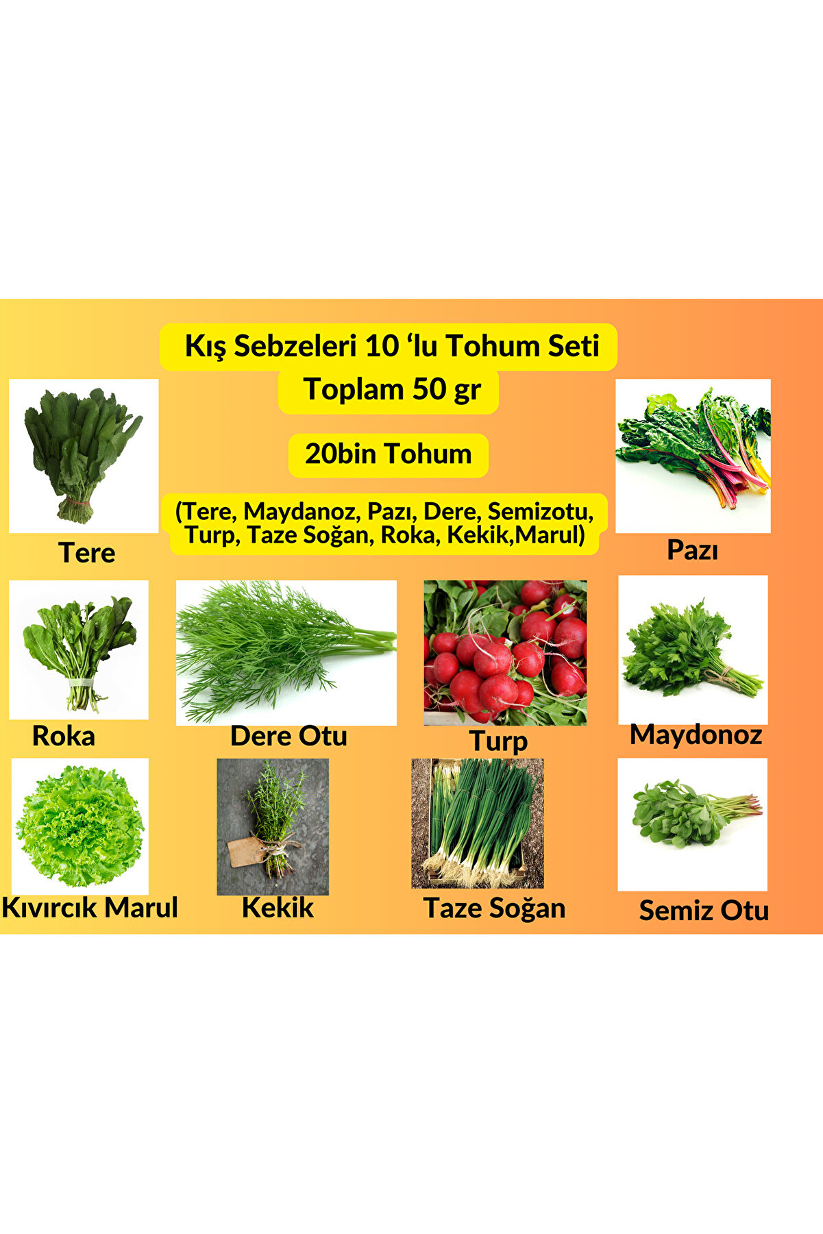 Bade Shop Kışlık Yeşillik Tohum Seti (10’lu Paket) | 50 gr | Yaklaşık 20.000 Adet Sebze Tohumu