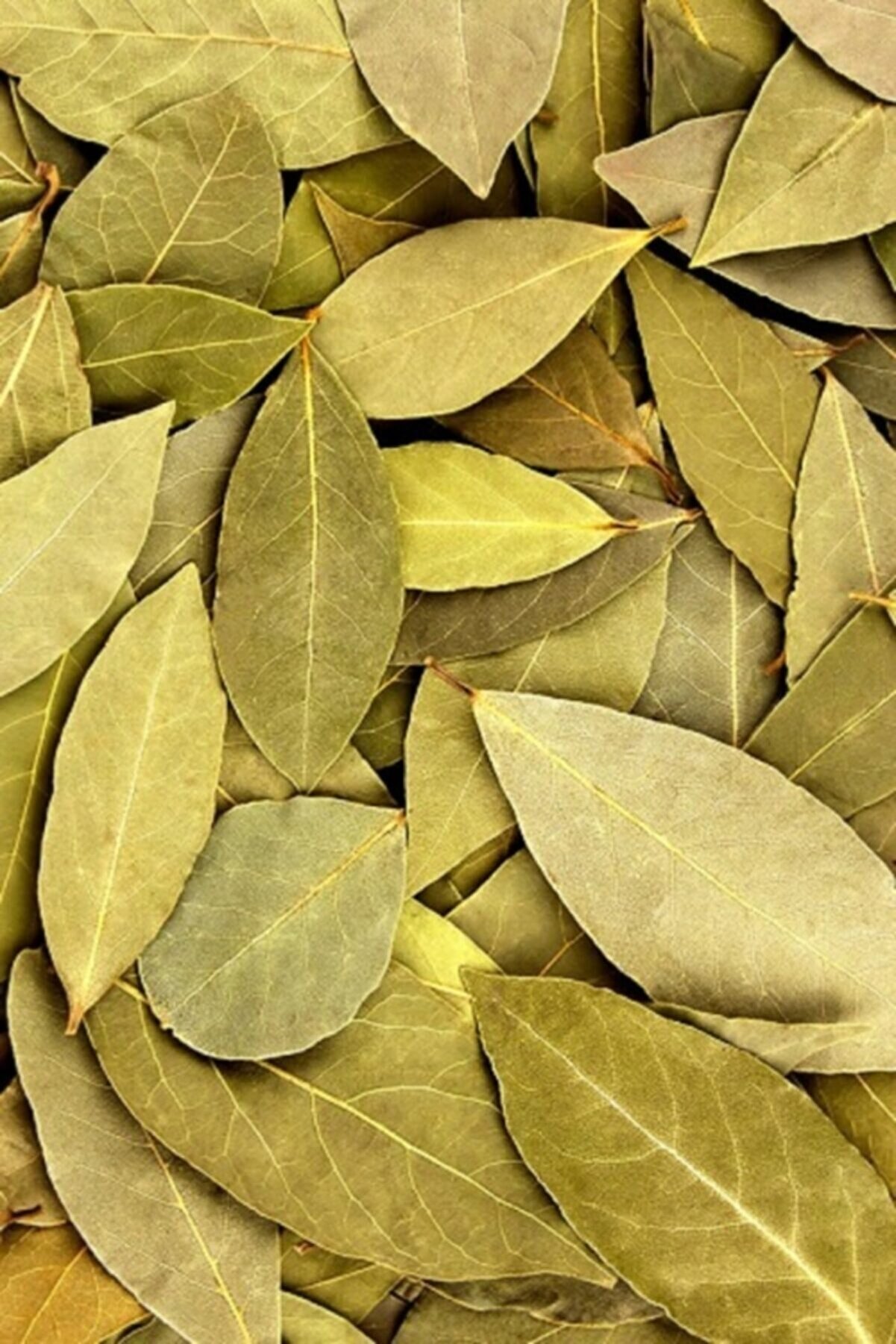 Defne Yaprağı 1. Kali̇te Lüks 100 Gr