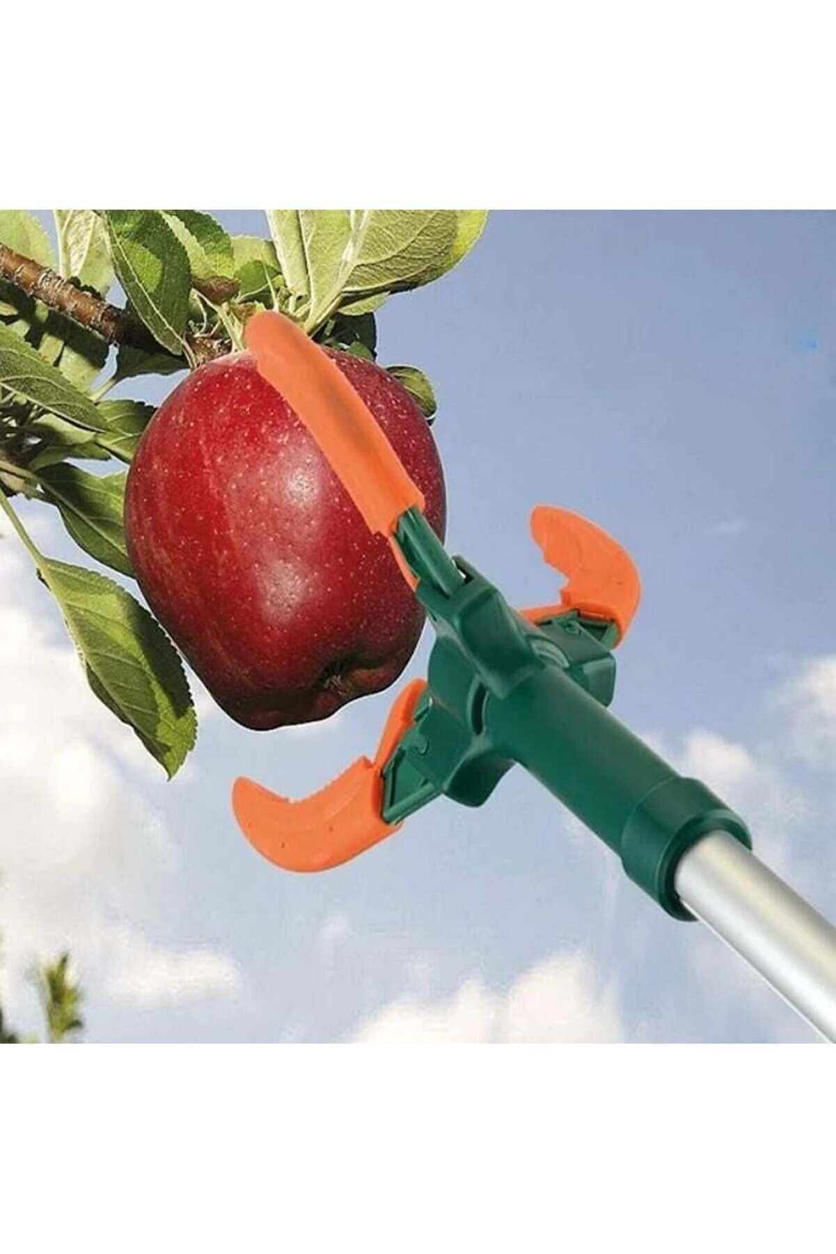 Ethab Ti̇caret Pg190 Y&uuml;ksel Dal Meyve Toplayıcı 190 Cm