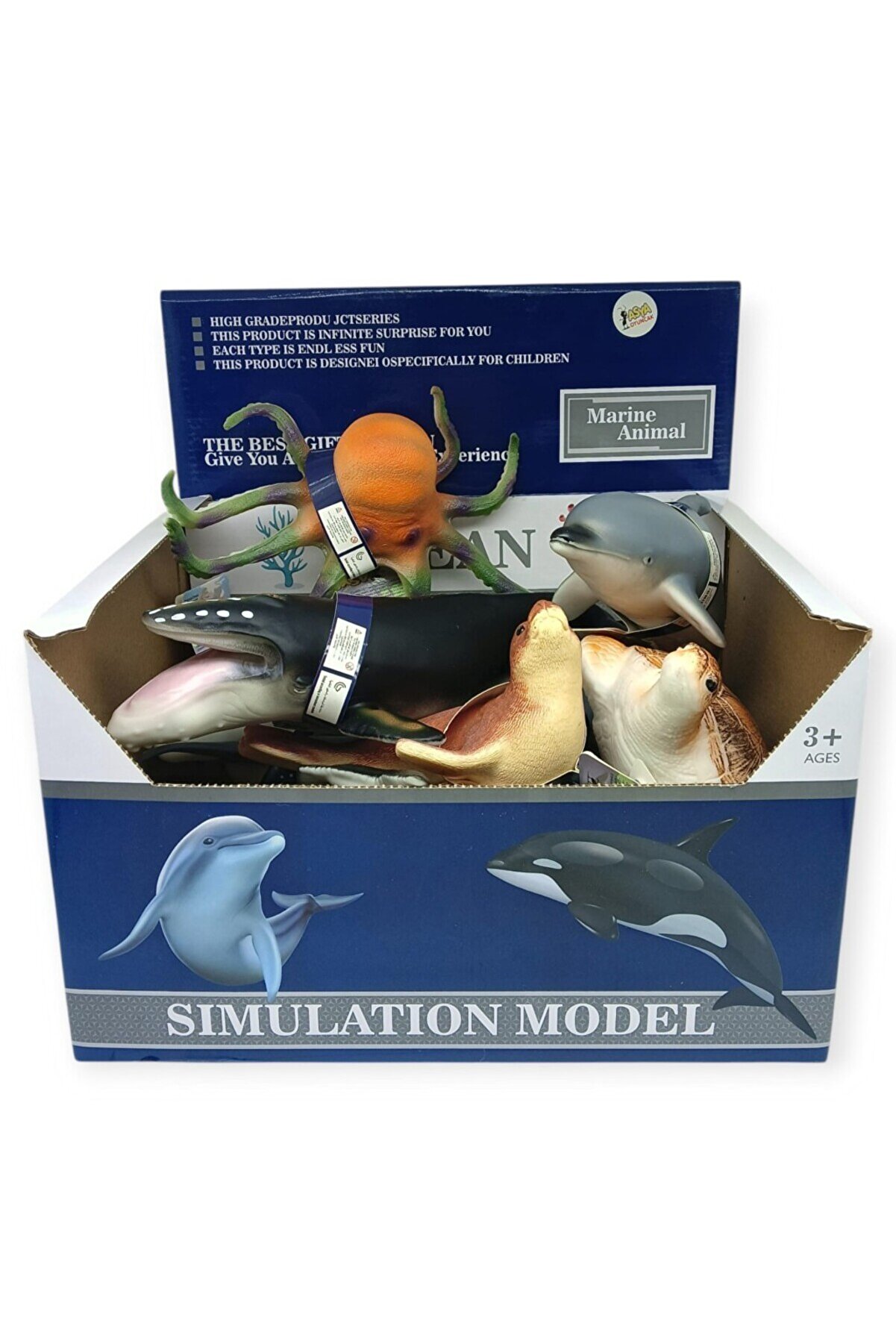 Ethab Ti̇caret - Deni̇z Hayvanları Di̇splay