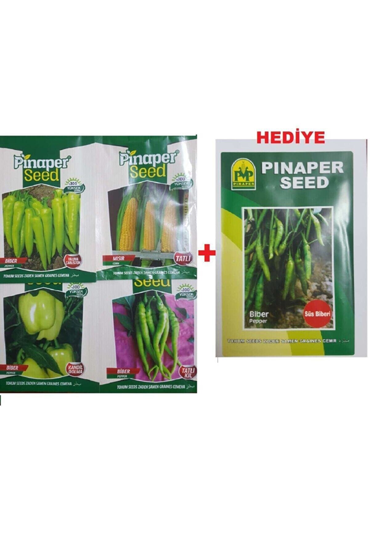 Pi̇naper Seed Bi̇ber &Ccedil;eşi̇tleri̇ Tohumları
