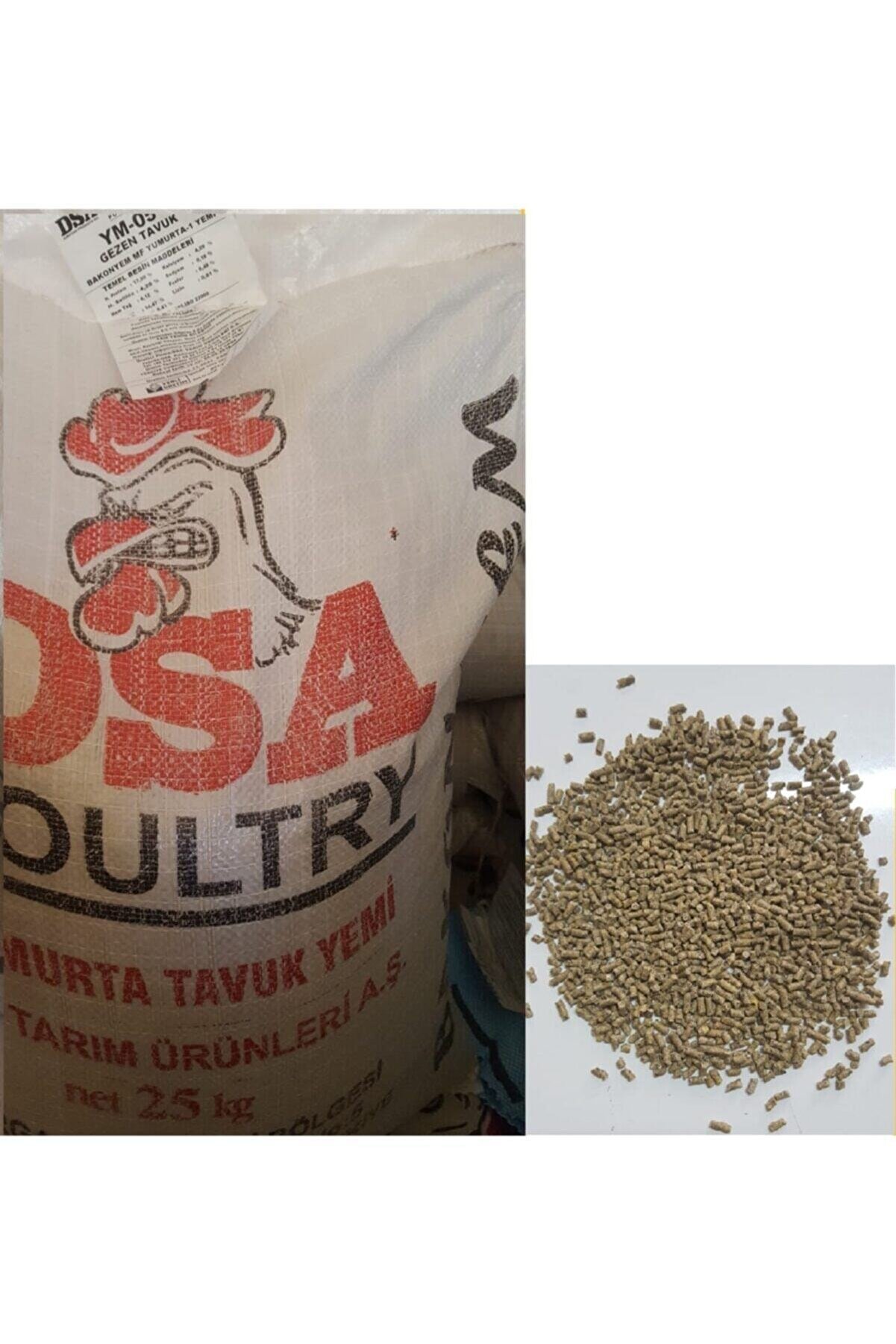 Dsa Gezen Tavuk Yumurta Yemi̇ 25 Kg (Pelet)