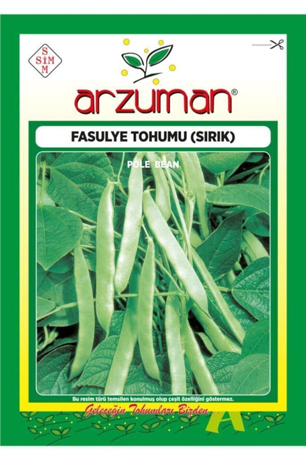 Arzuman 100 Adet Sırık Fasülye Tohumu