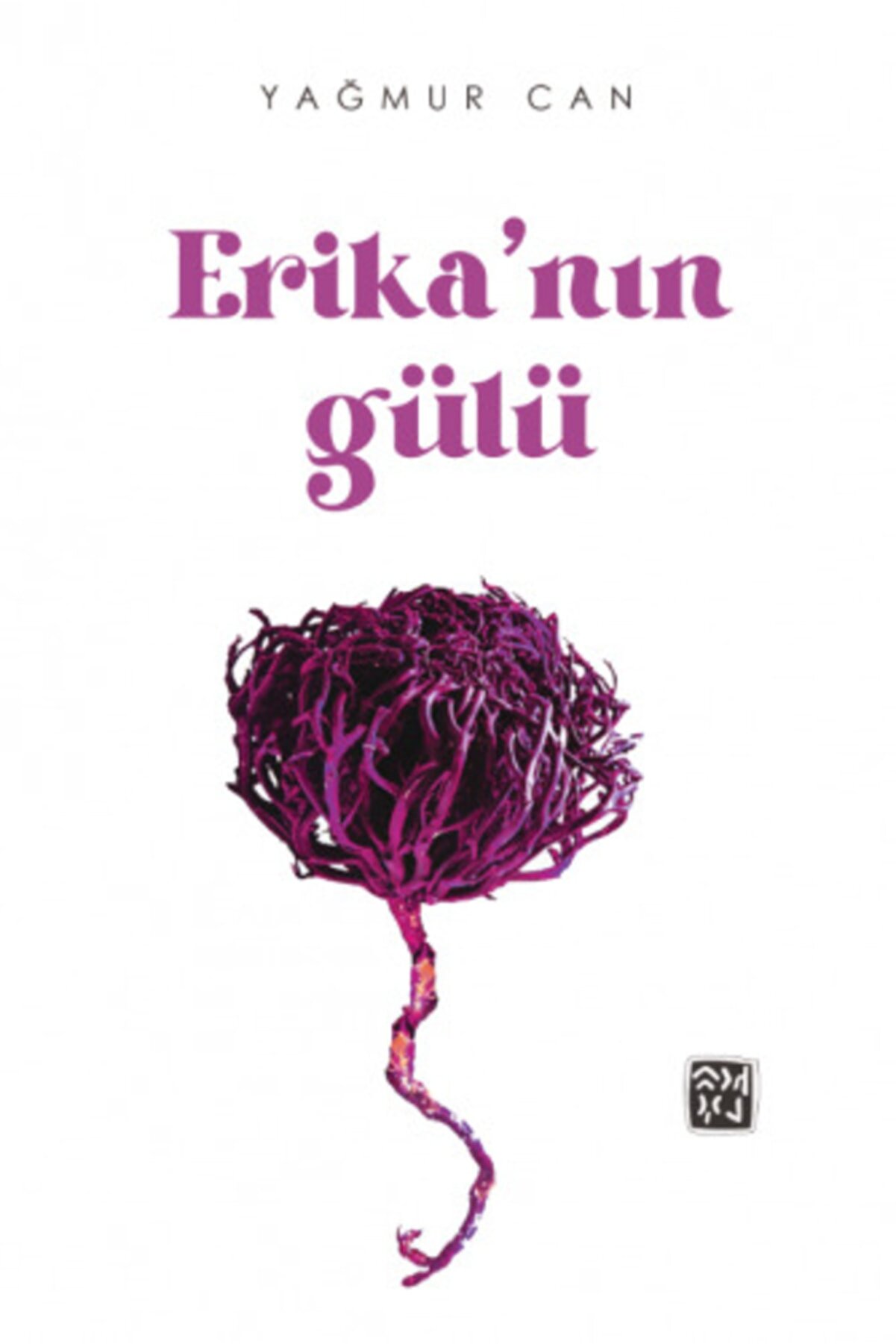 Kutlu Yayınevi̇ Eri̇ka Nın Gülü - Yağmur Can